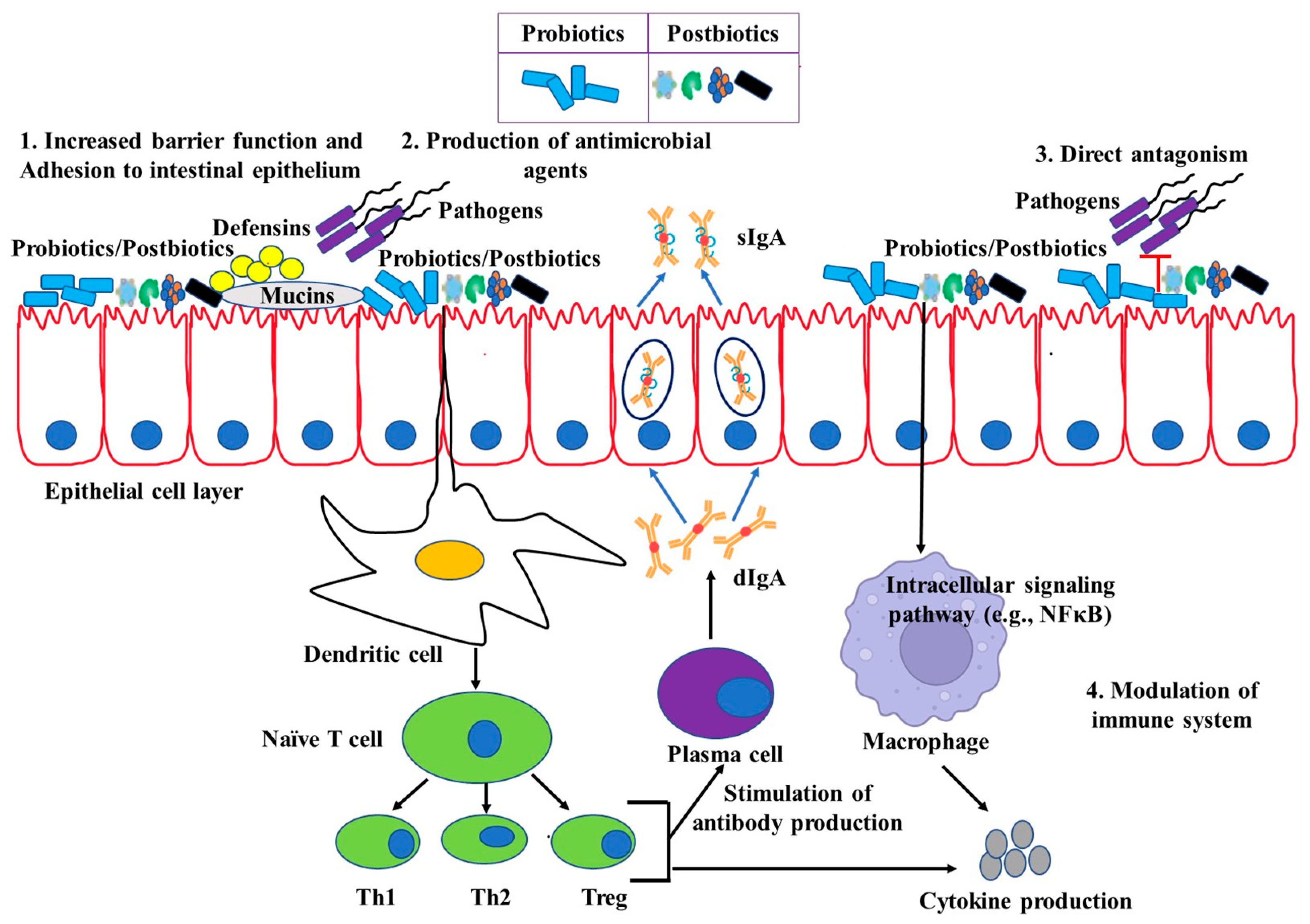 Pathogens 12 00874 g001 Pathogens 12 00874 g001