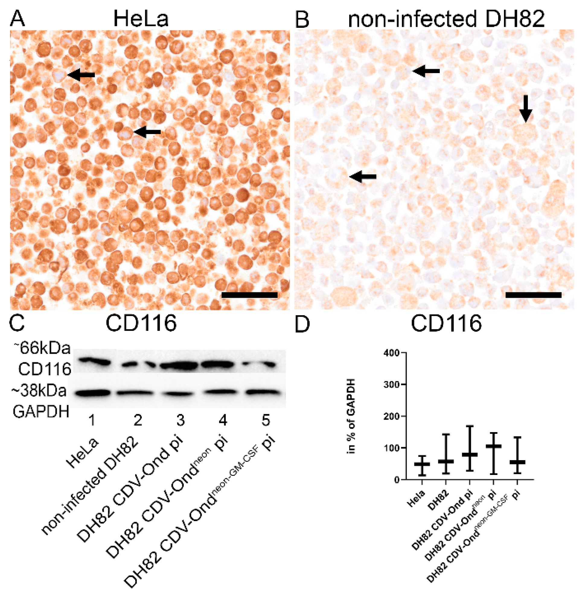Pathogens 12 00877 g005