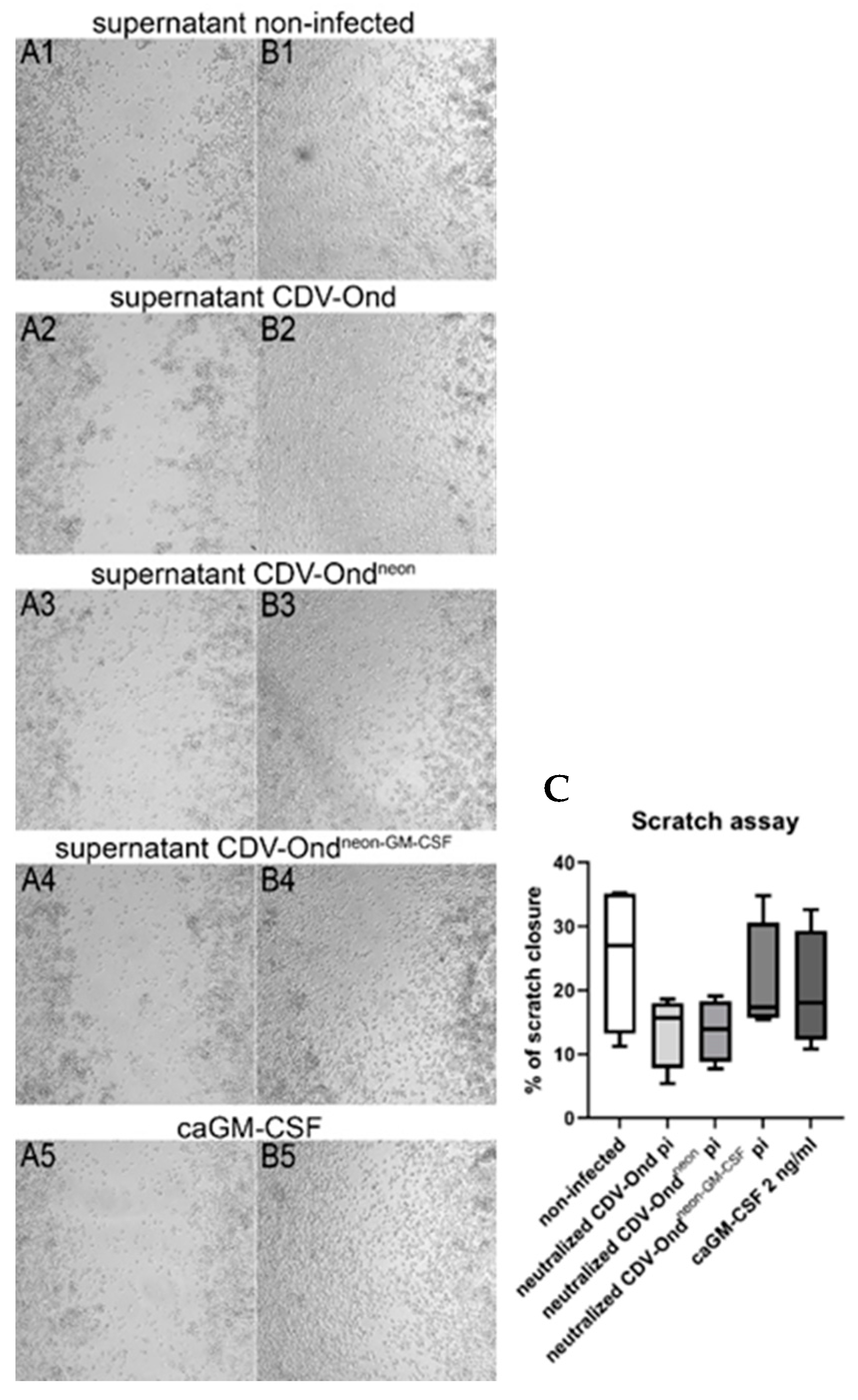 Pathogens 12 00877 g006