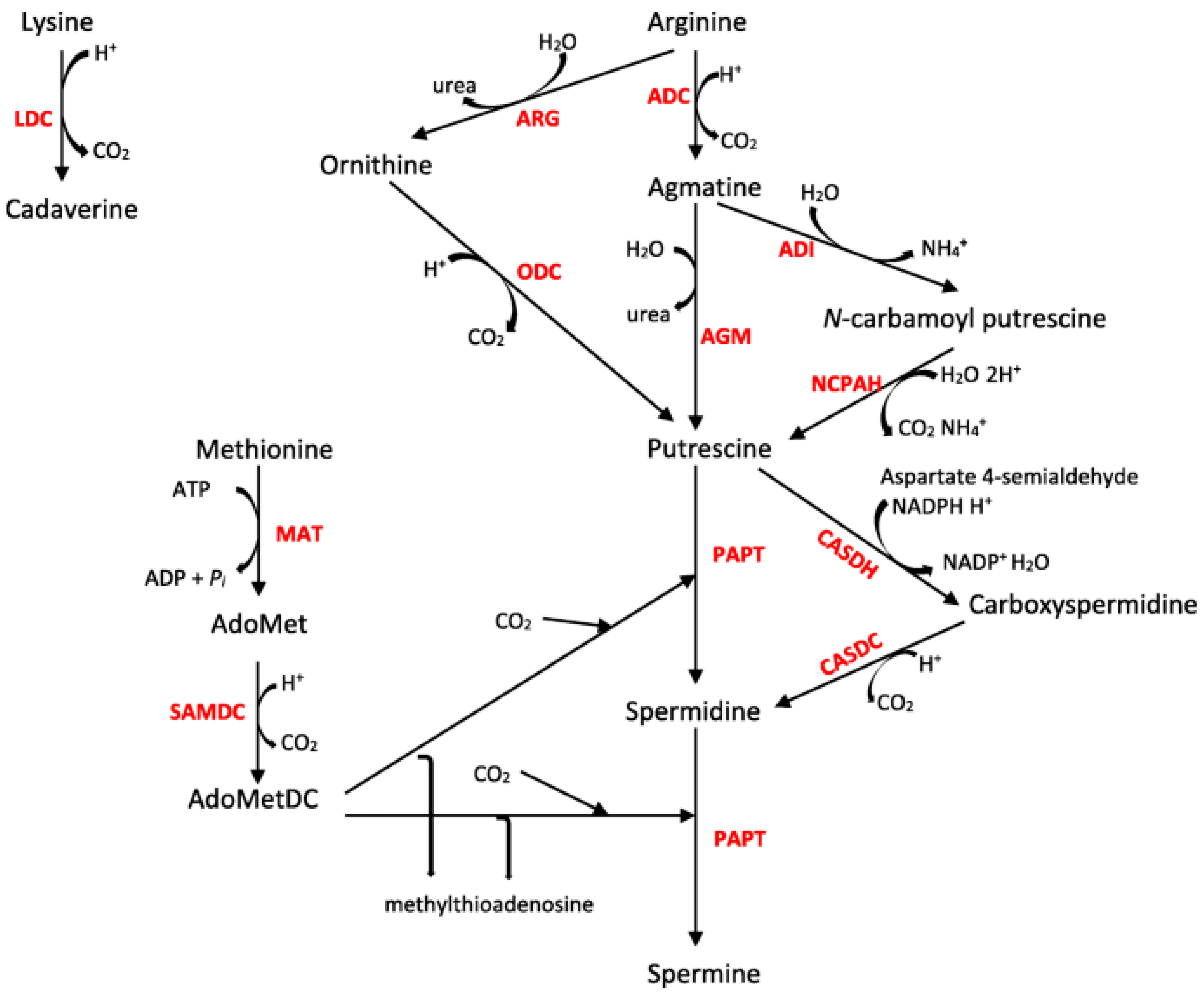 Pathogens 12 00881 g001