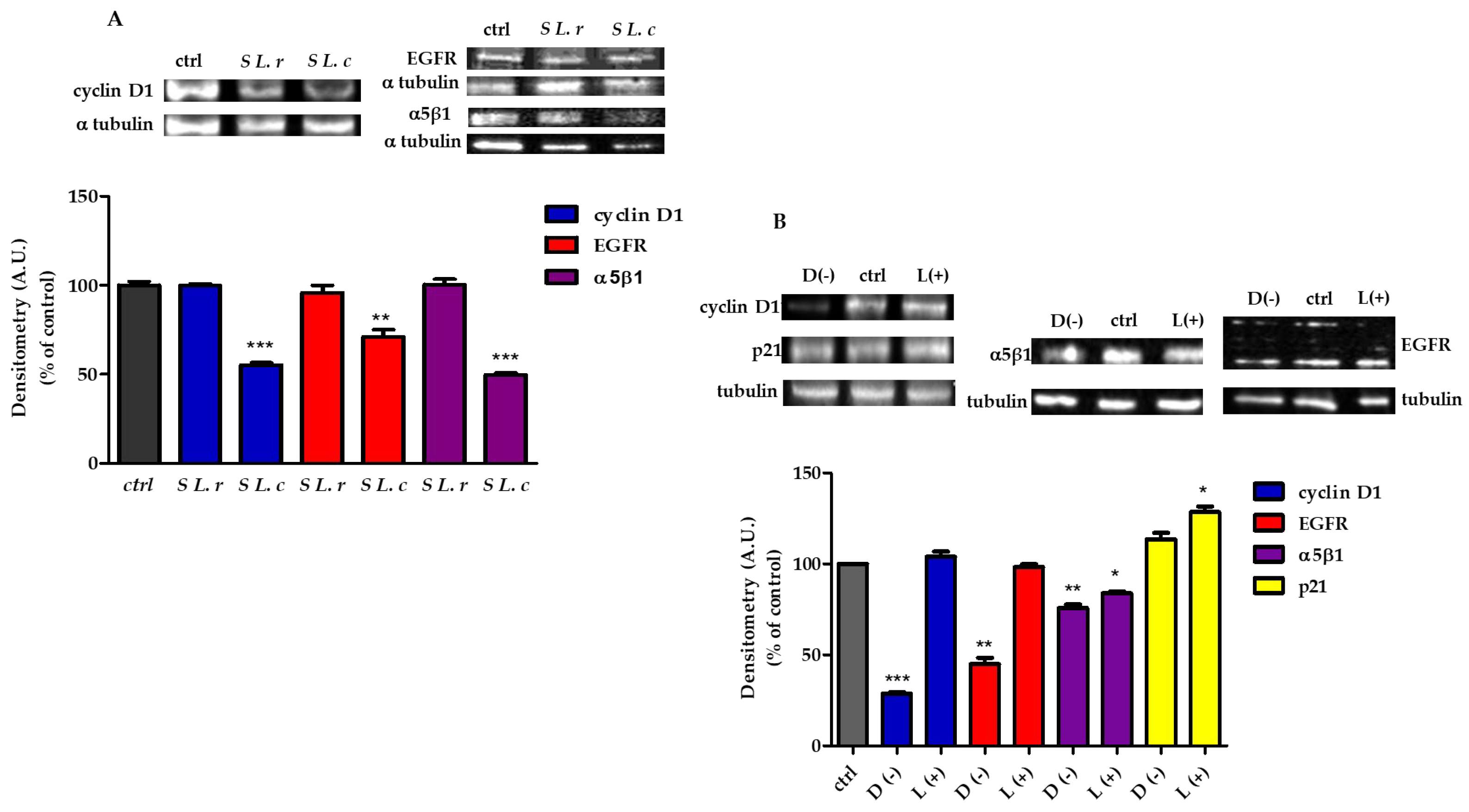 Pathogens 12 00883 g006 Pathogens 12 00883 g006