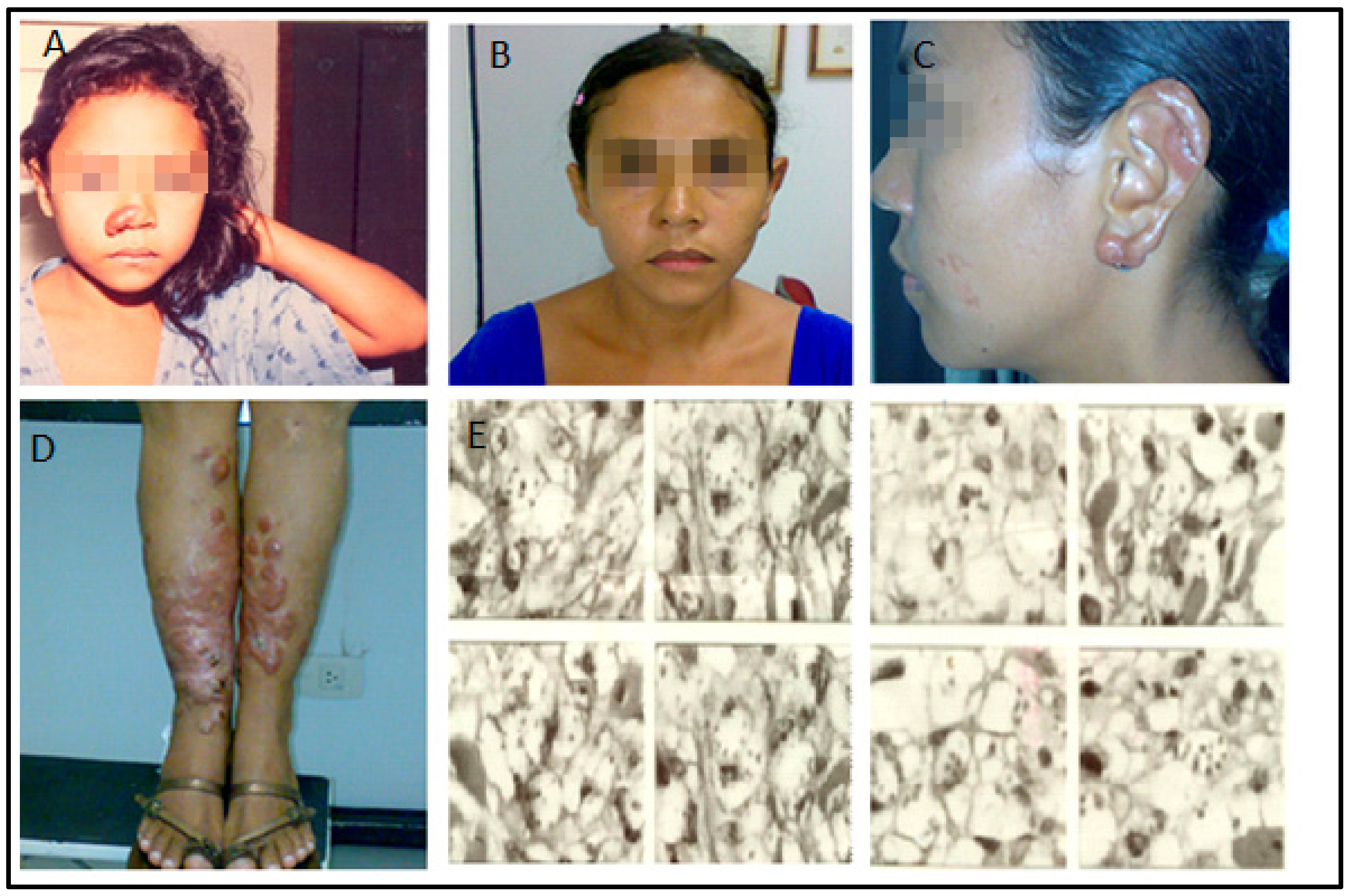 Pathogens 12 00890 g001