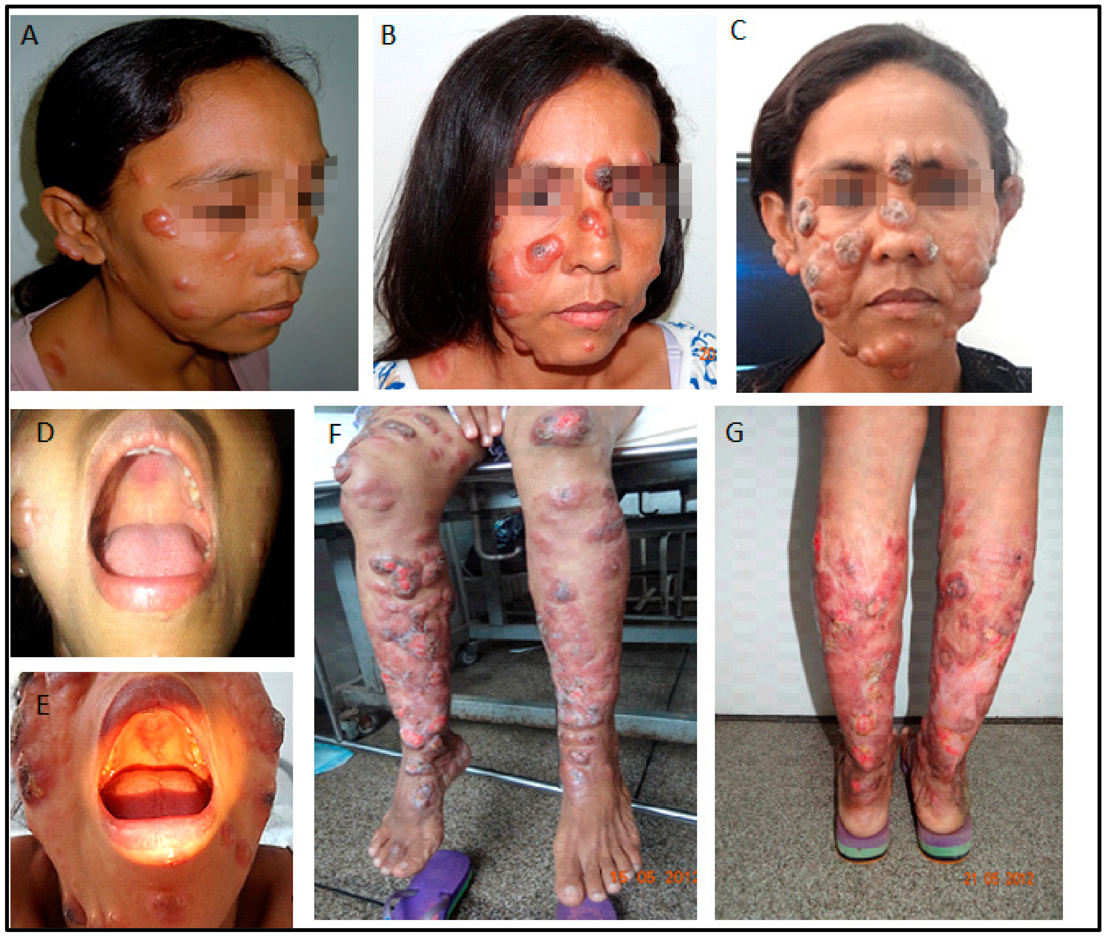 Pathogens 12 00890 g002