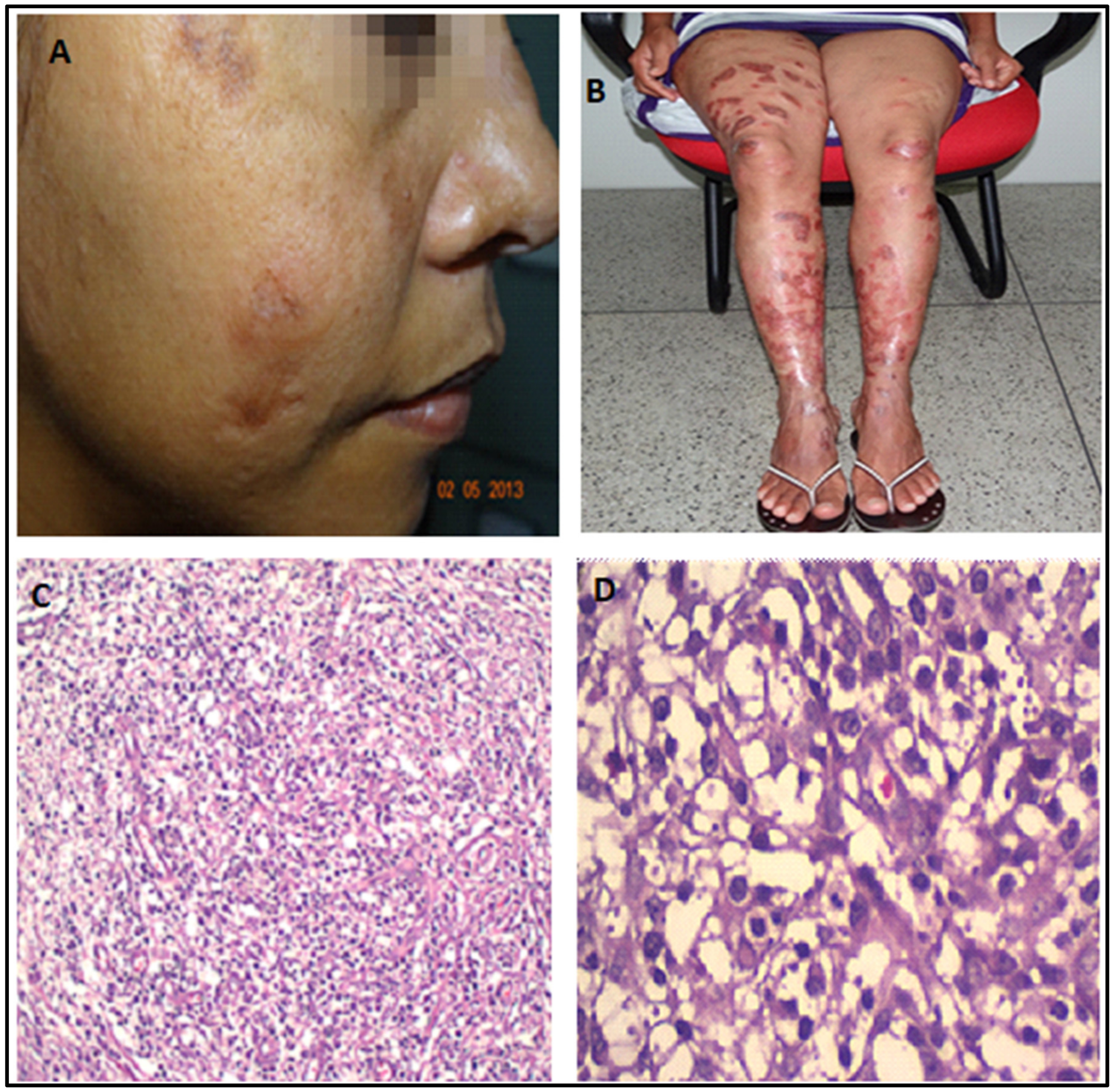 Pathogens 12 00890 g003