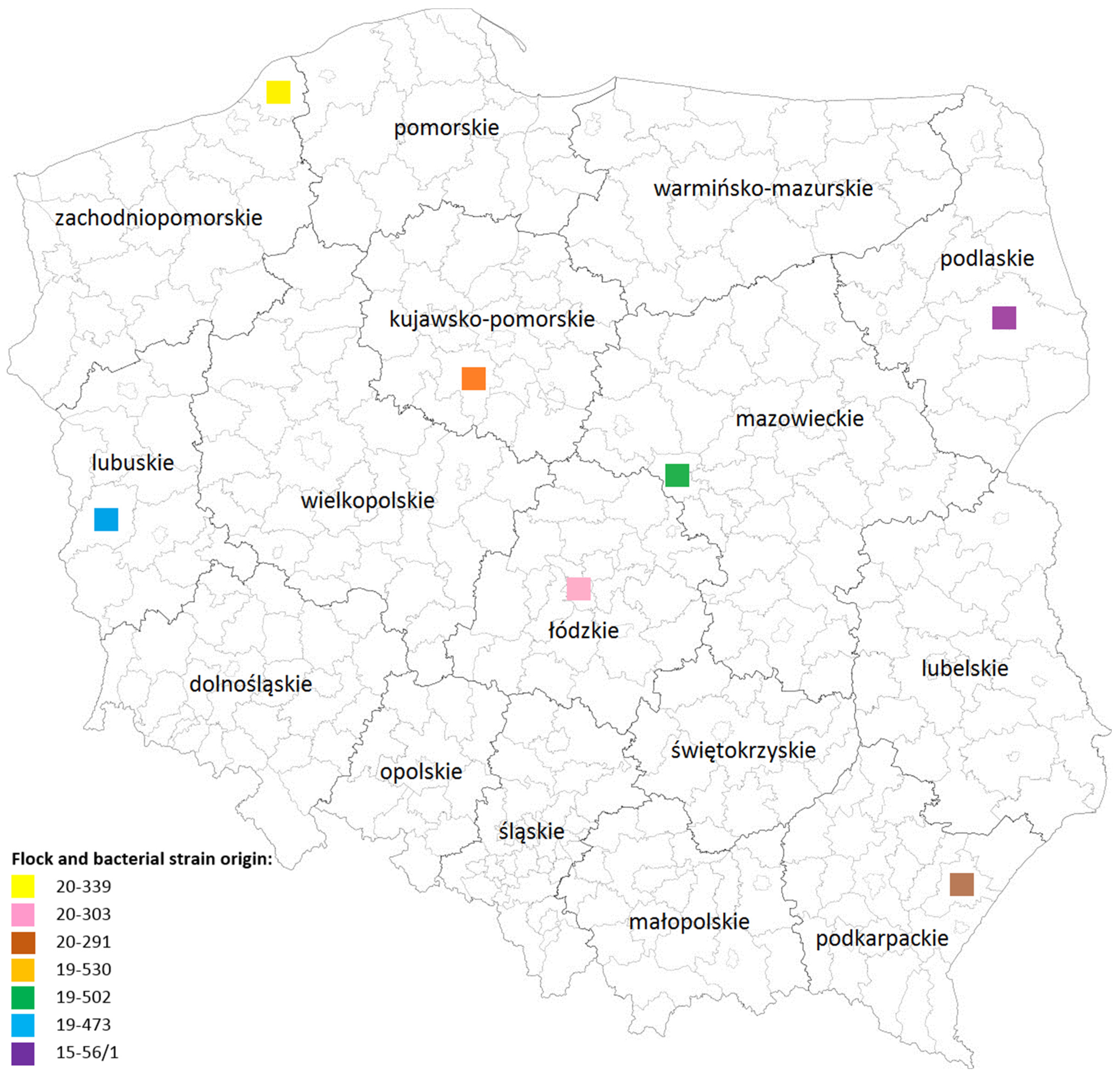 Pathogens 12 00891 g001 Pathogens 12 00891 g001
