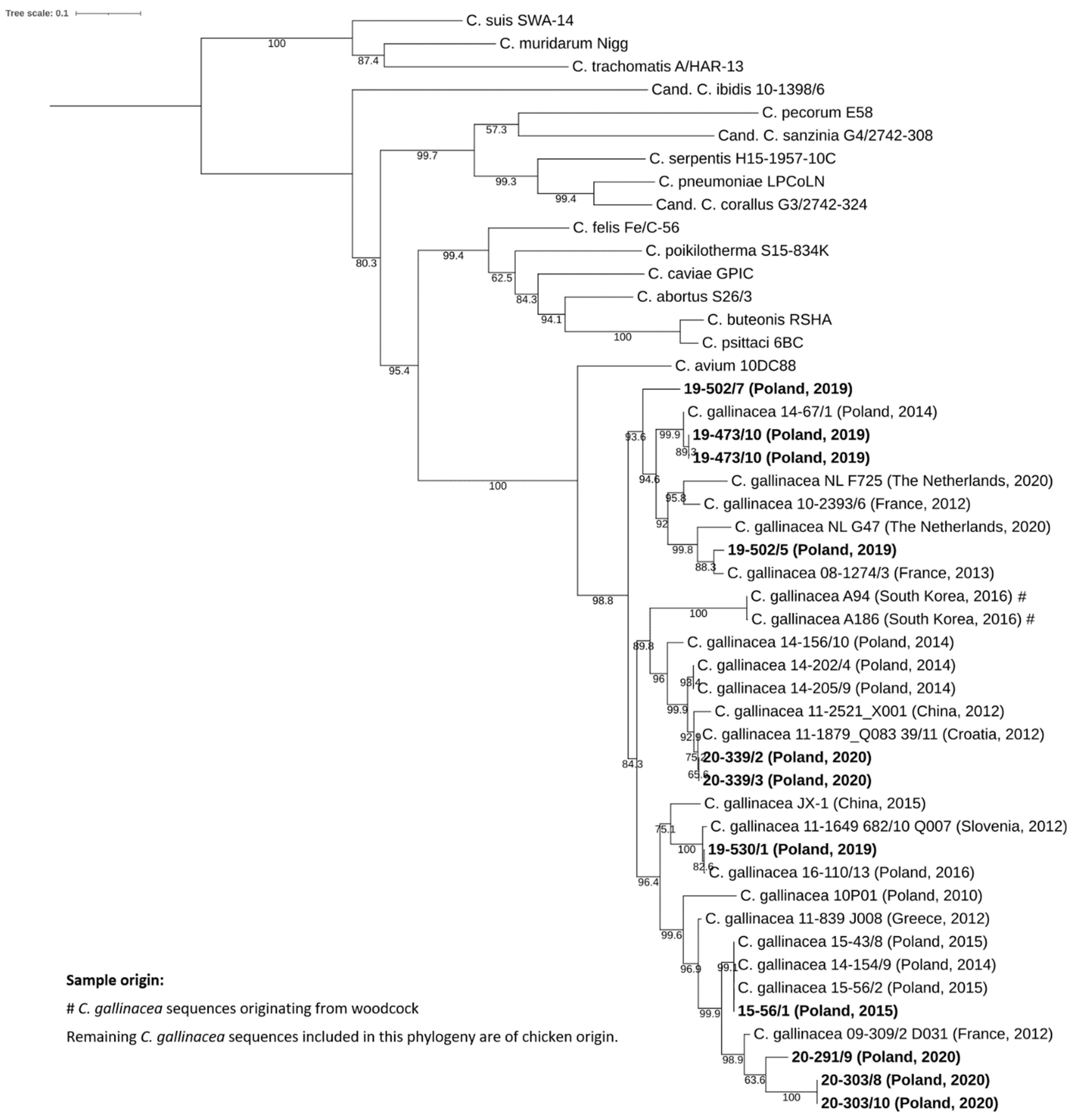 Pathogens 12 00891 g002 Pathogens 12 00891 g002