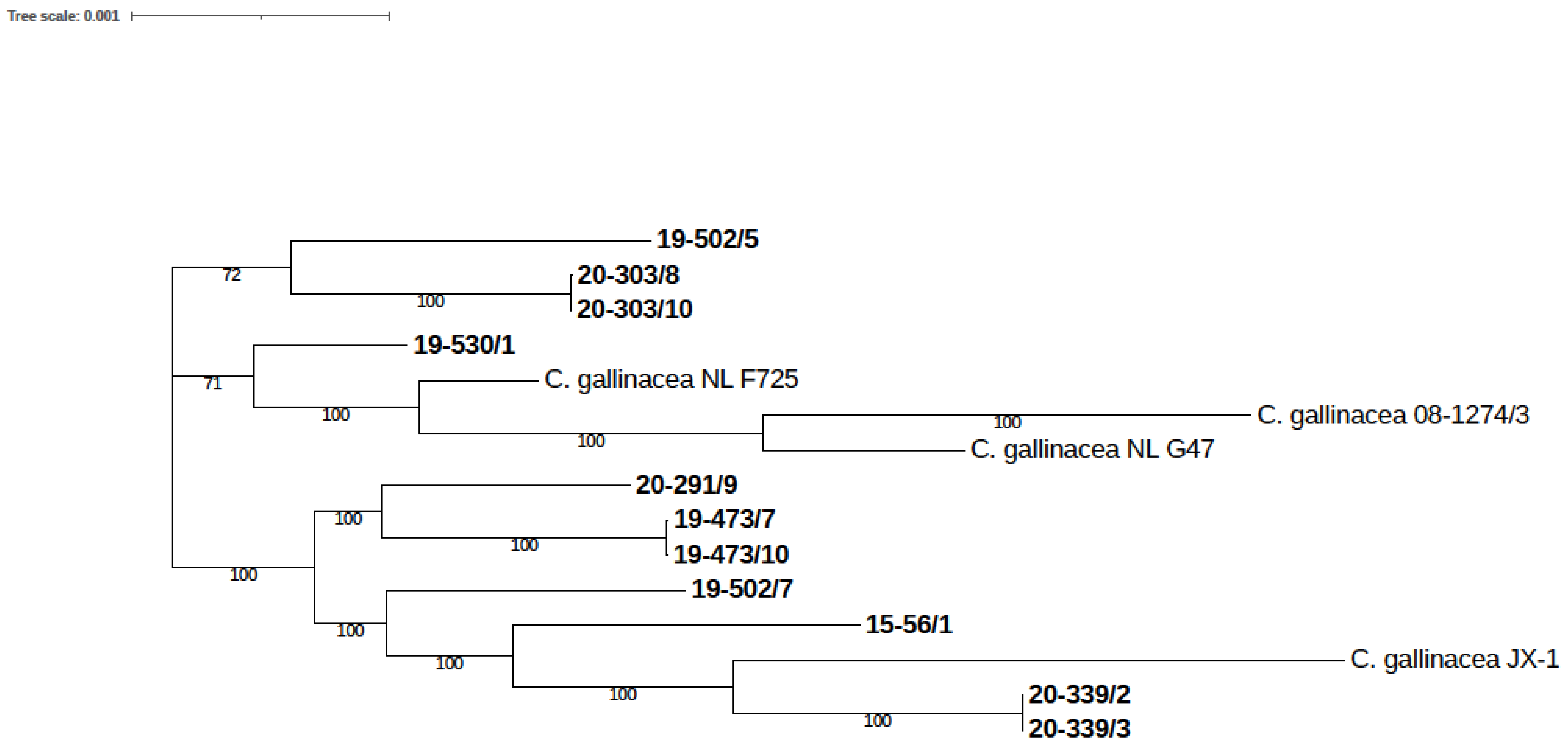 Pathogens 12 00891 g003 Pathogens 12 00891 g003
