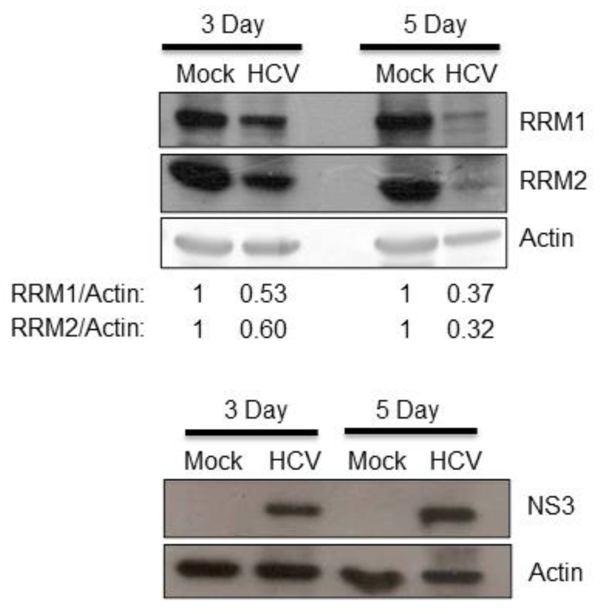 Pathogens 12 00892 g001 Pathogens 12 00892 g001