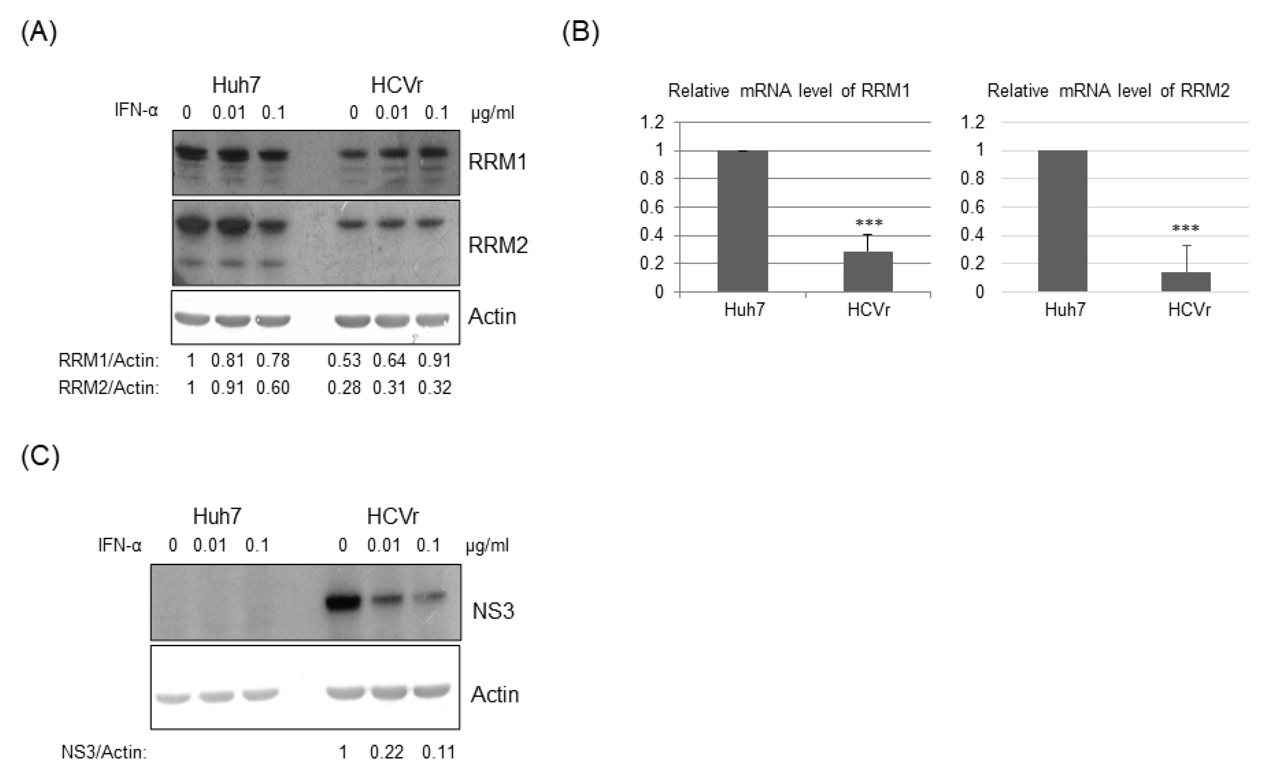 Pathogens 12 00892 g002 Pathogens 12 00892 g002