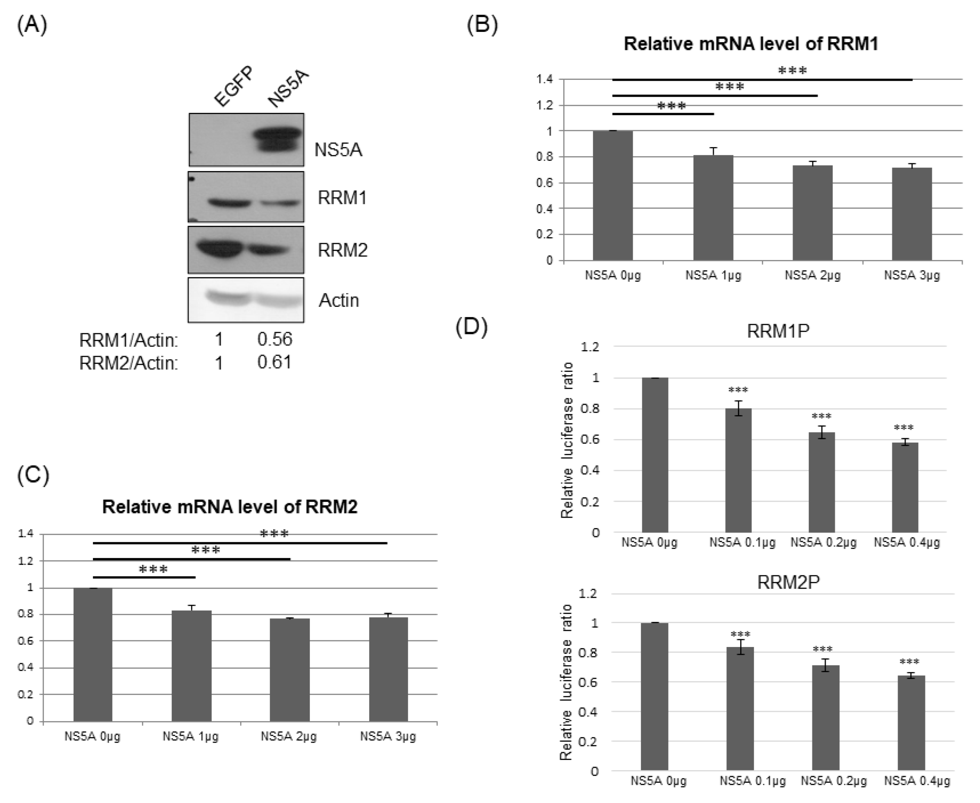 Pathogens 12 00892 g006 Pathogens 12 00892 g006