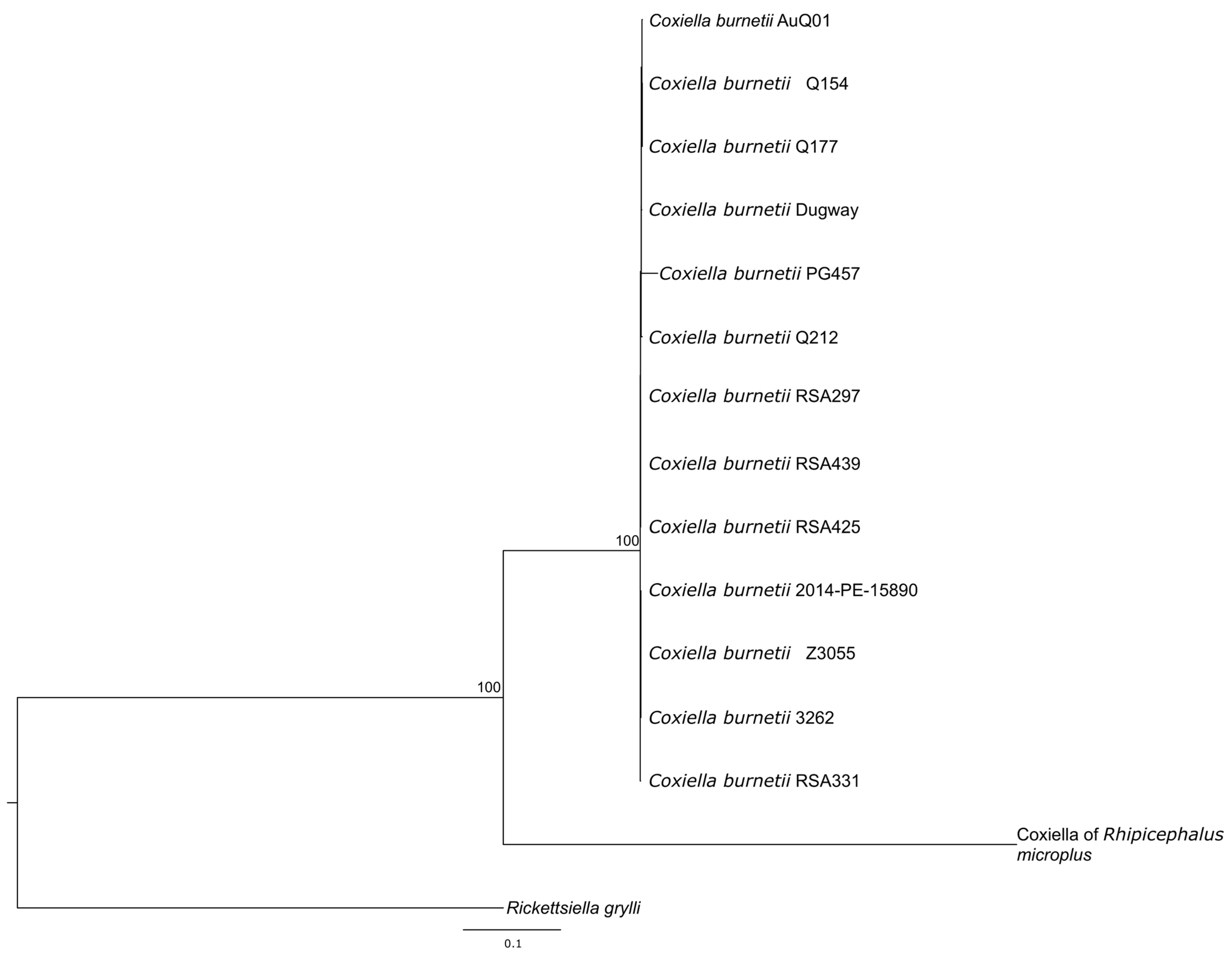 Pathogens 12 00893 g002 Pathogens 12 00893 g002