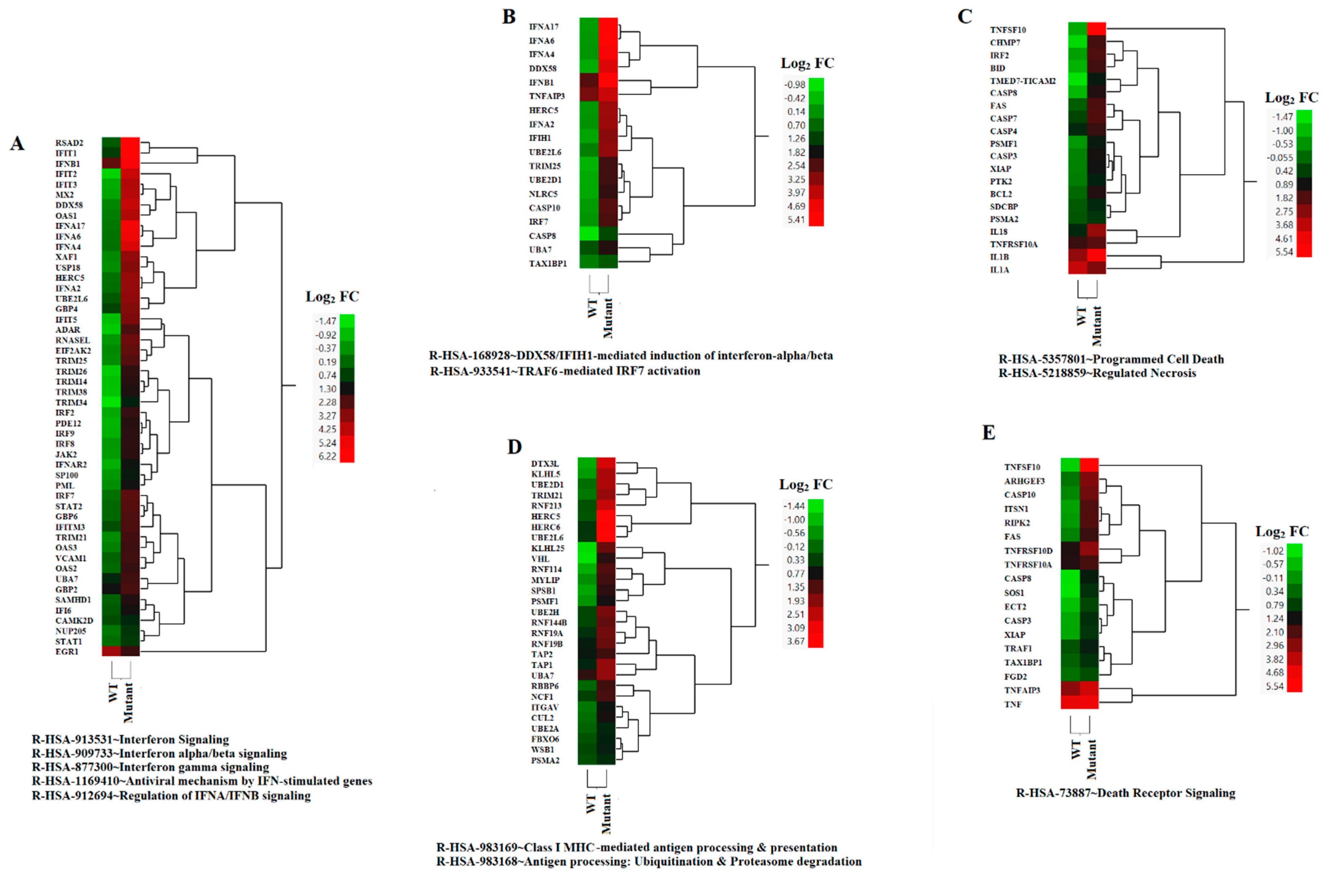 Pathogens 12 00896 g004 Pathogens 12 00896 g004