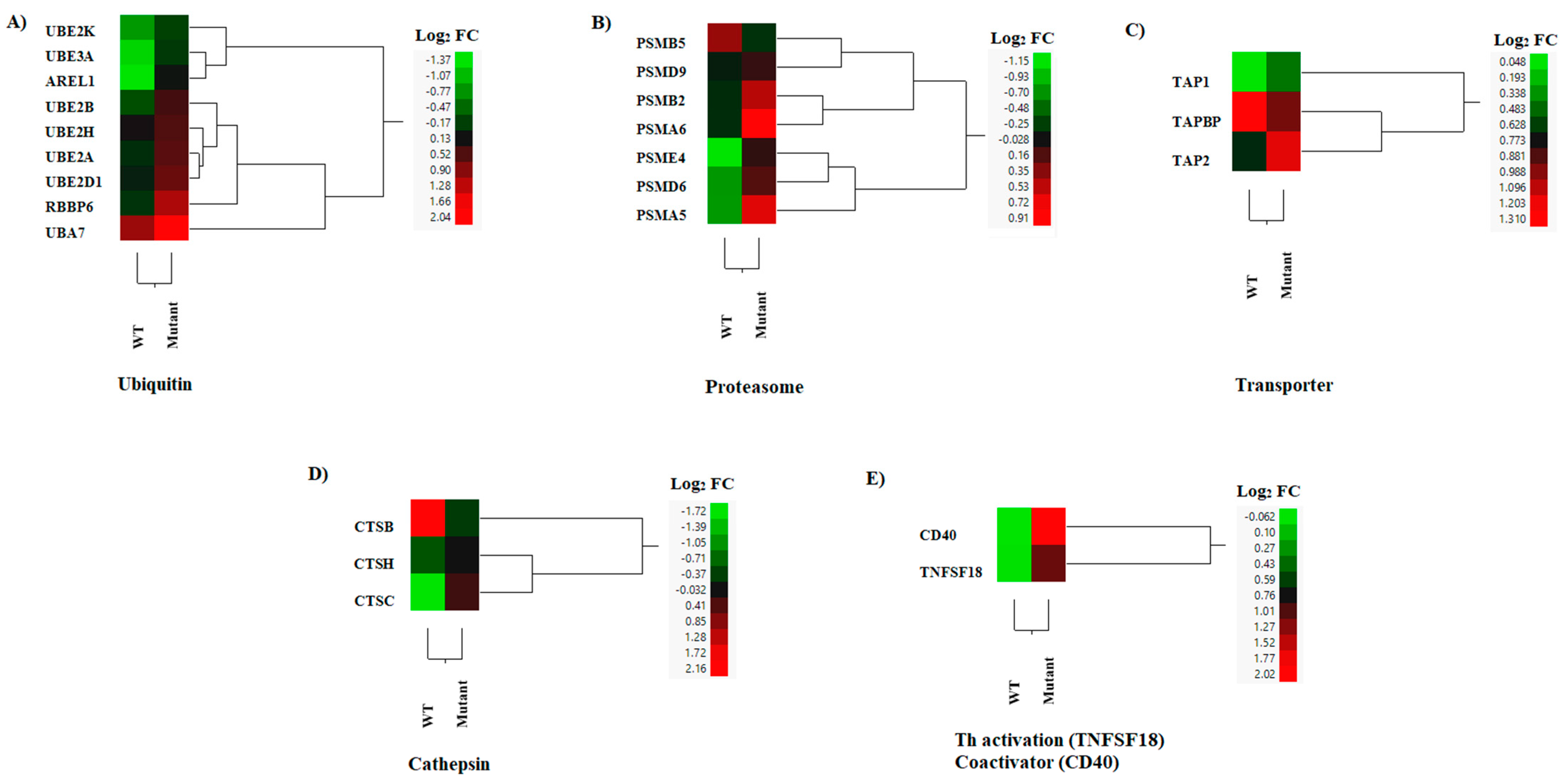 Pathogens 12 00896 g008 Pathogens 12 00896 g008