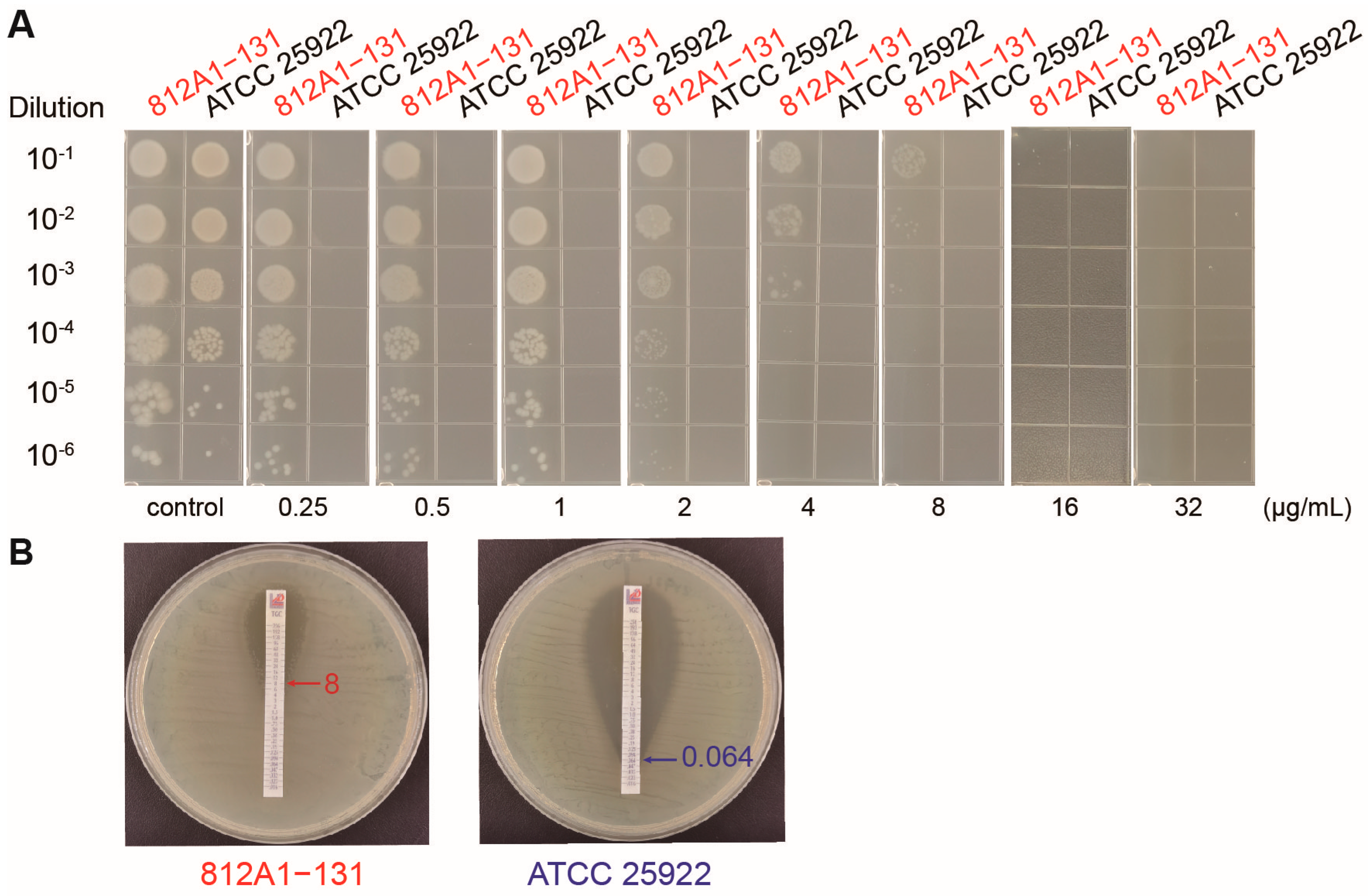 Pathogens 12 00903 g001