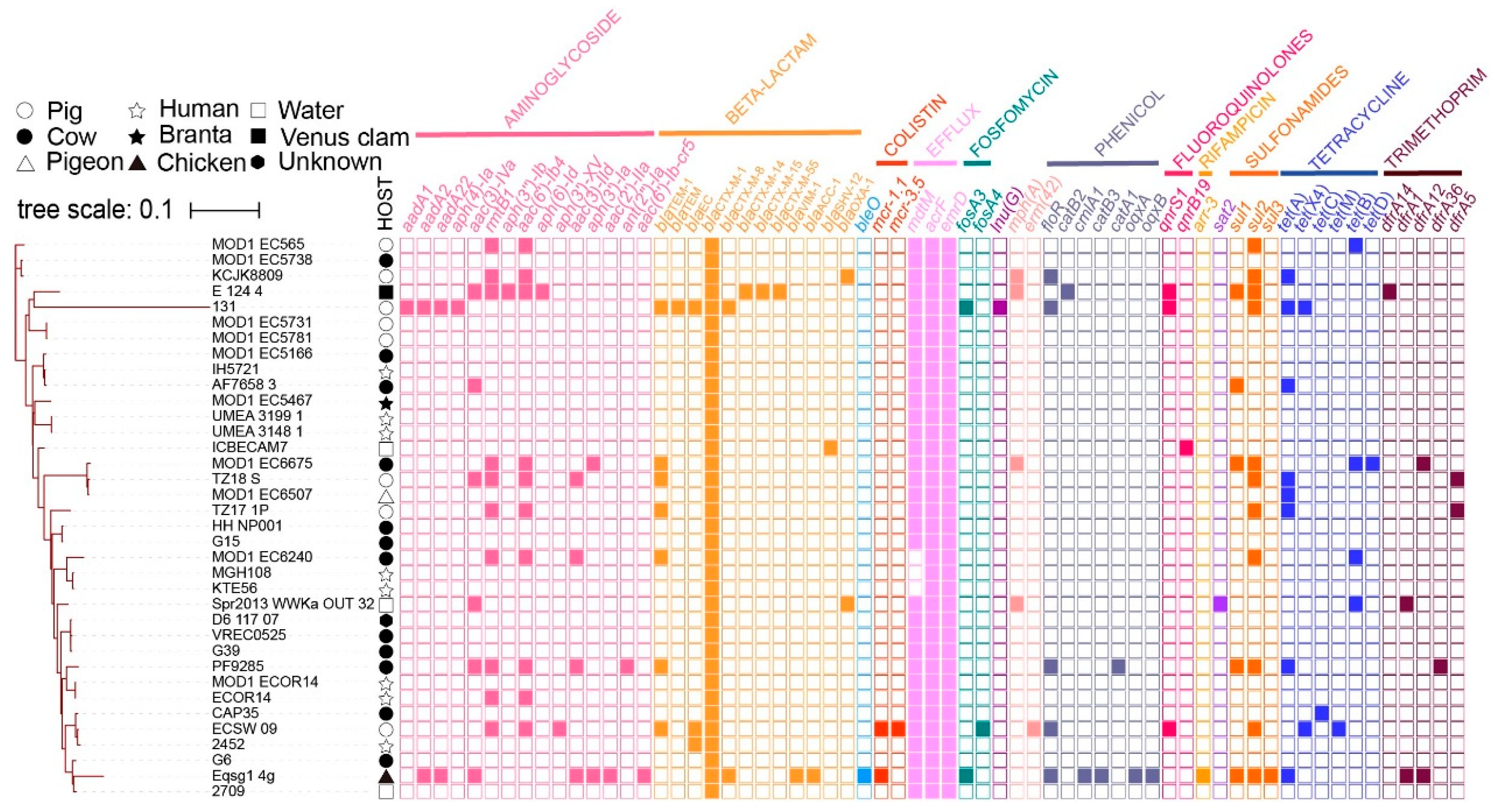 Pathogens 12 00903 g003