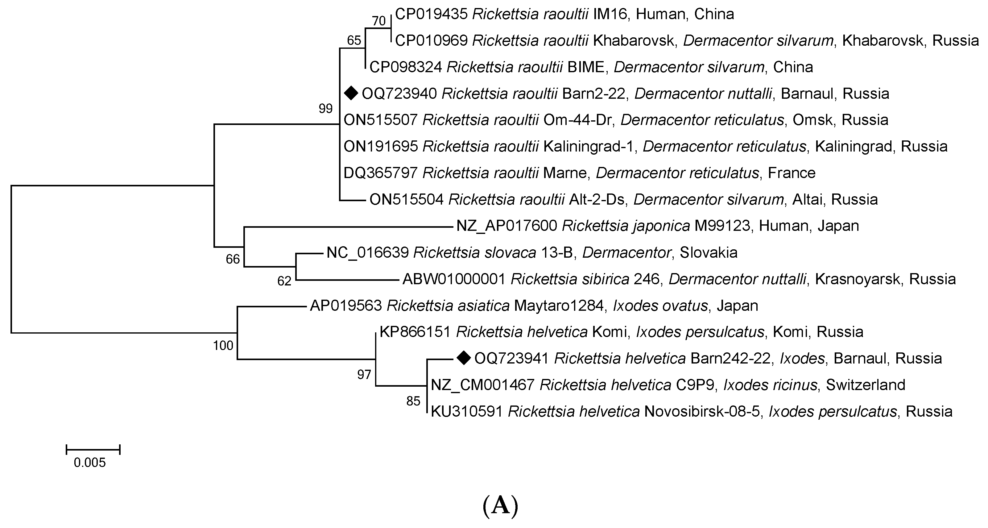 Pathogens 12 00914 g004a