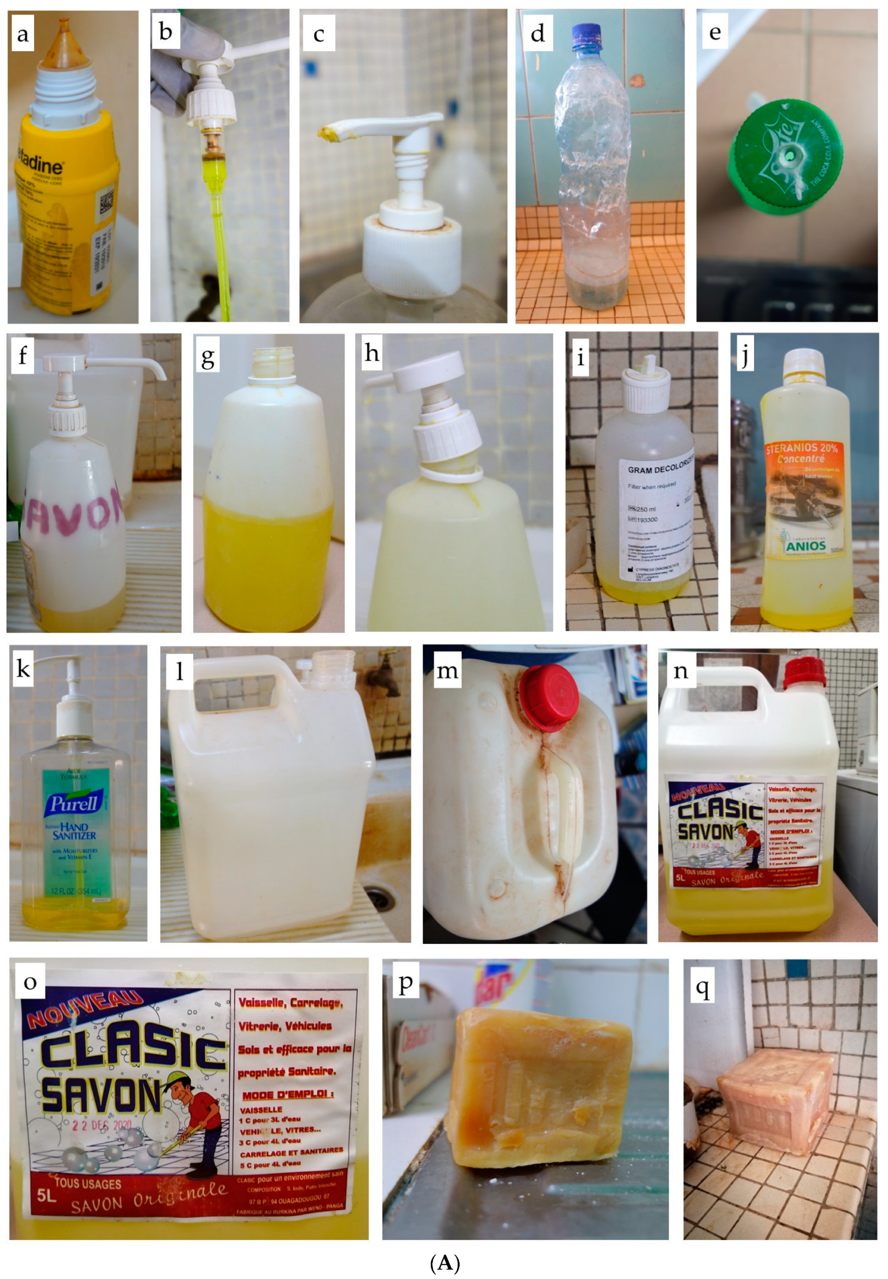 Pathogens 12 00917 g001a Pathogens 12 00917 g001a