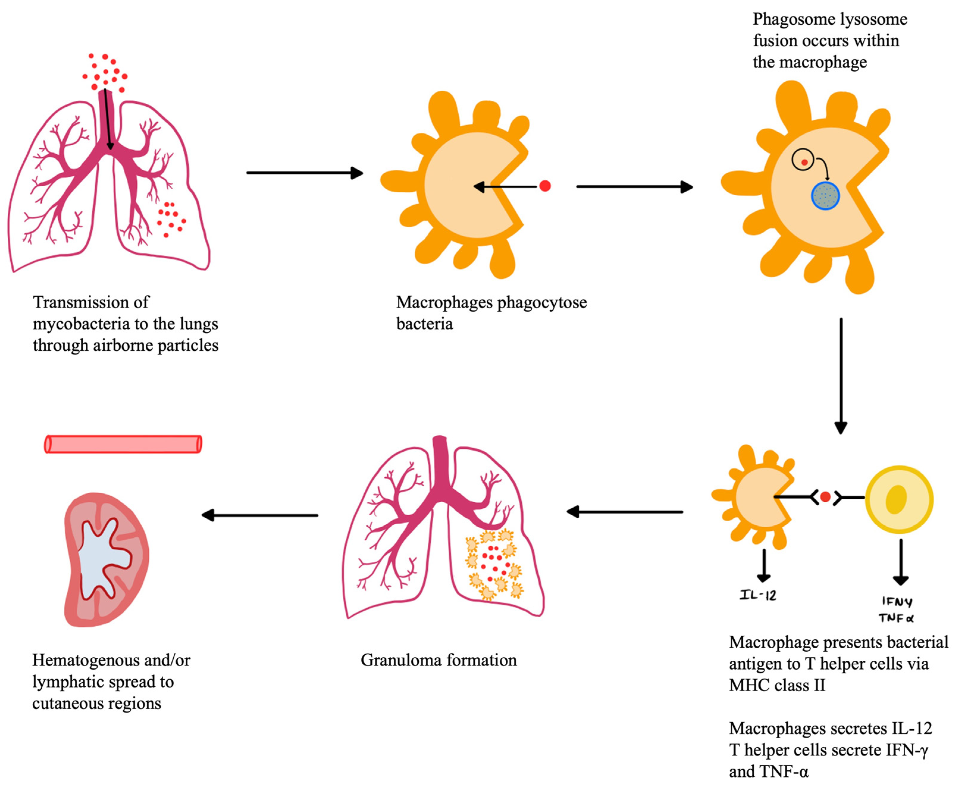 Pathogens 12 00920 g002