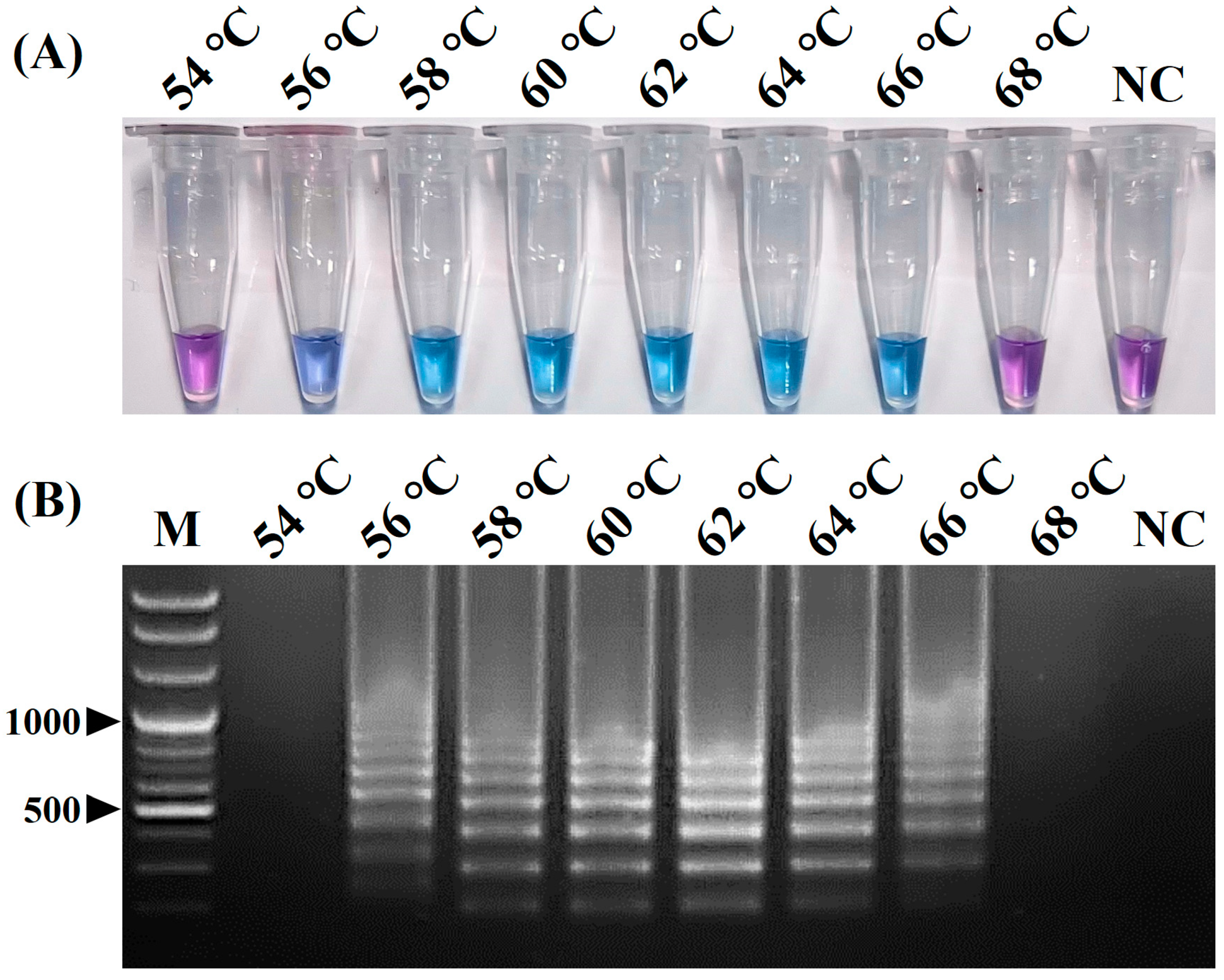 Pathogens 12 00921 g002