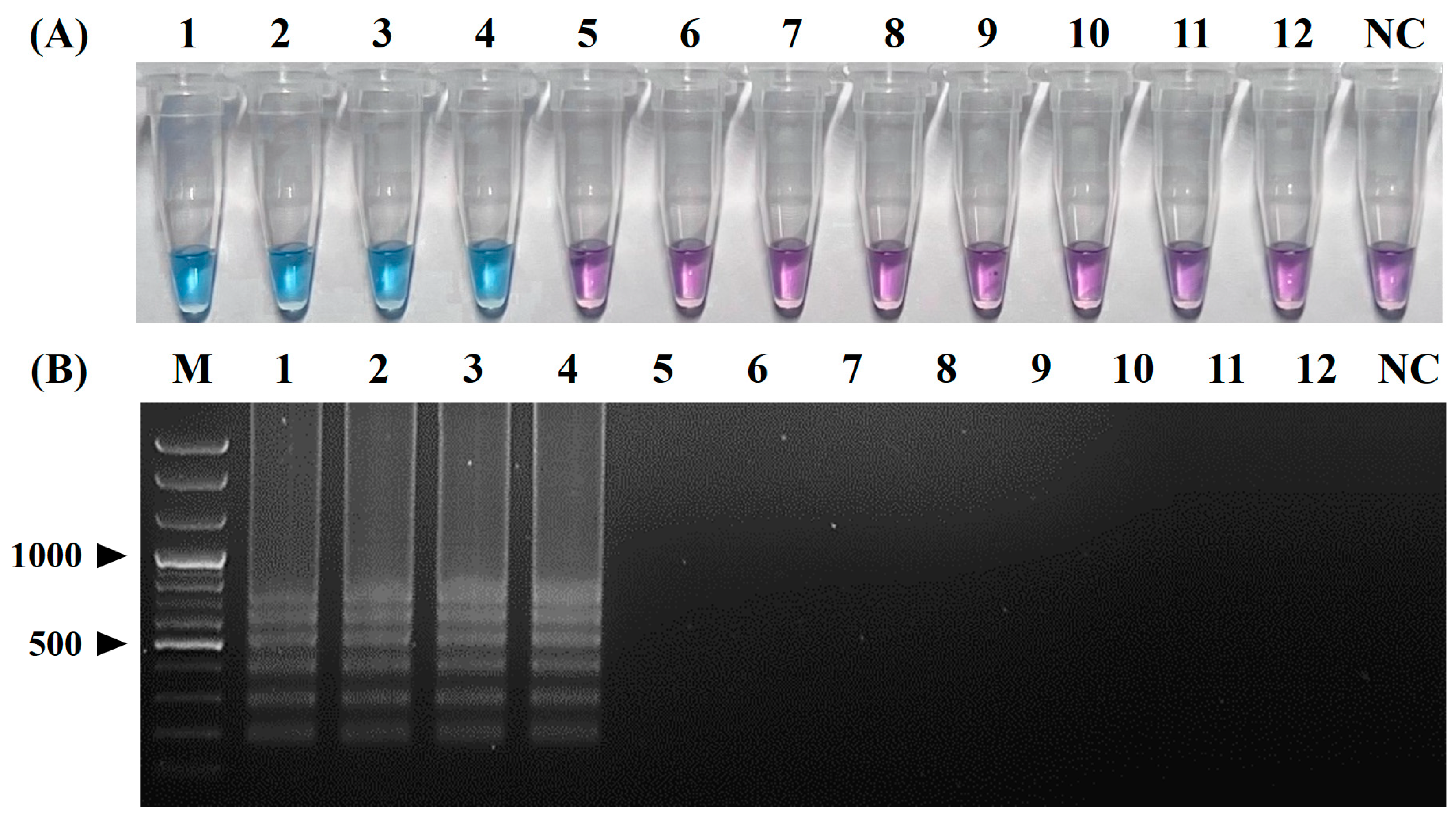Pathogens 12 00921 g004