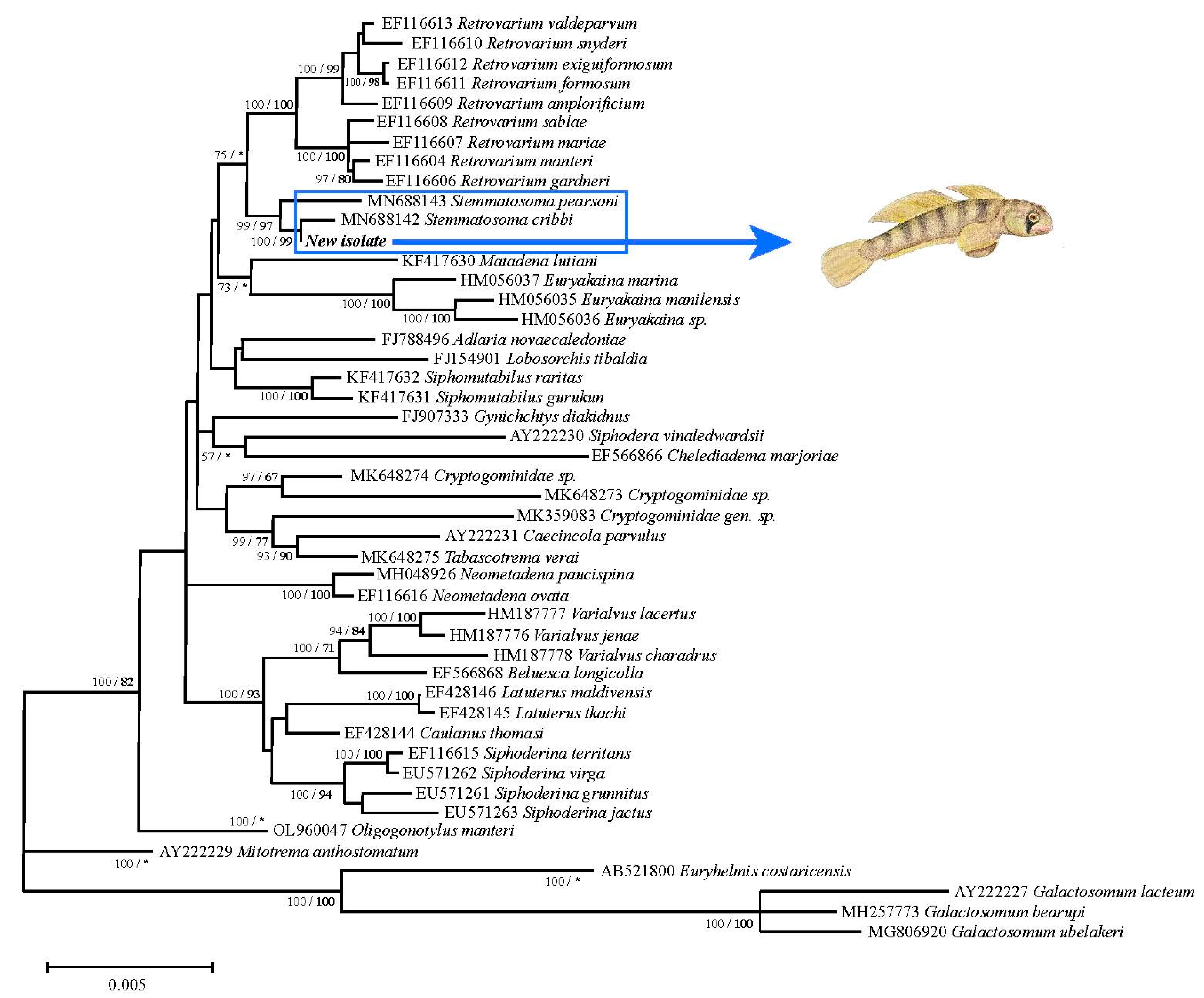Pathogens 12 00923 g003