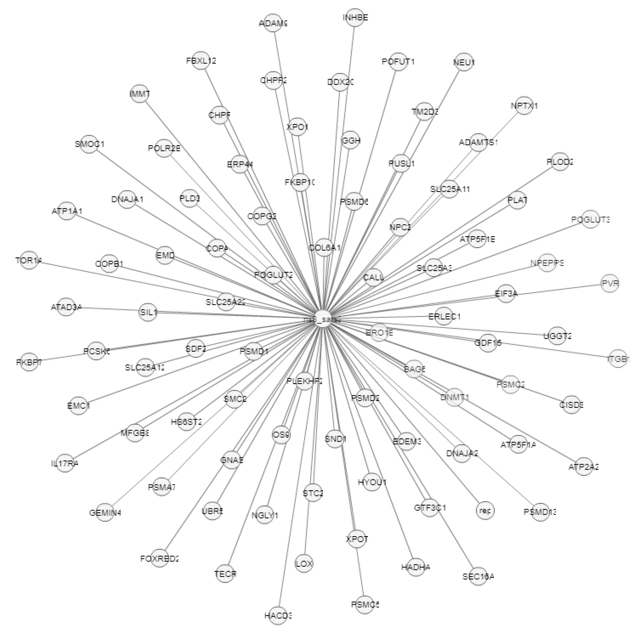 Pathogens 12 00926 g013 Pathogens 12 00926 g013