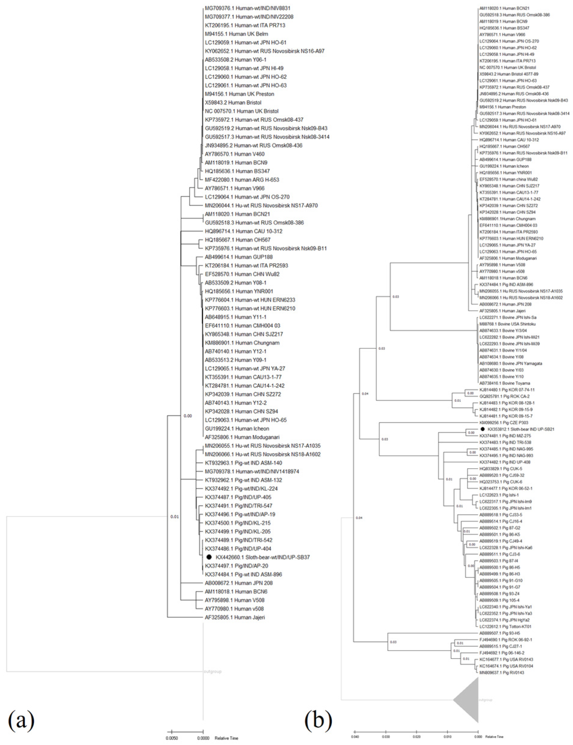 Pathogens 12 00934 g001 Pathogens 12 00934 g001