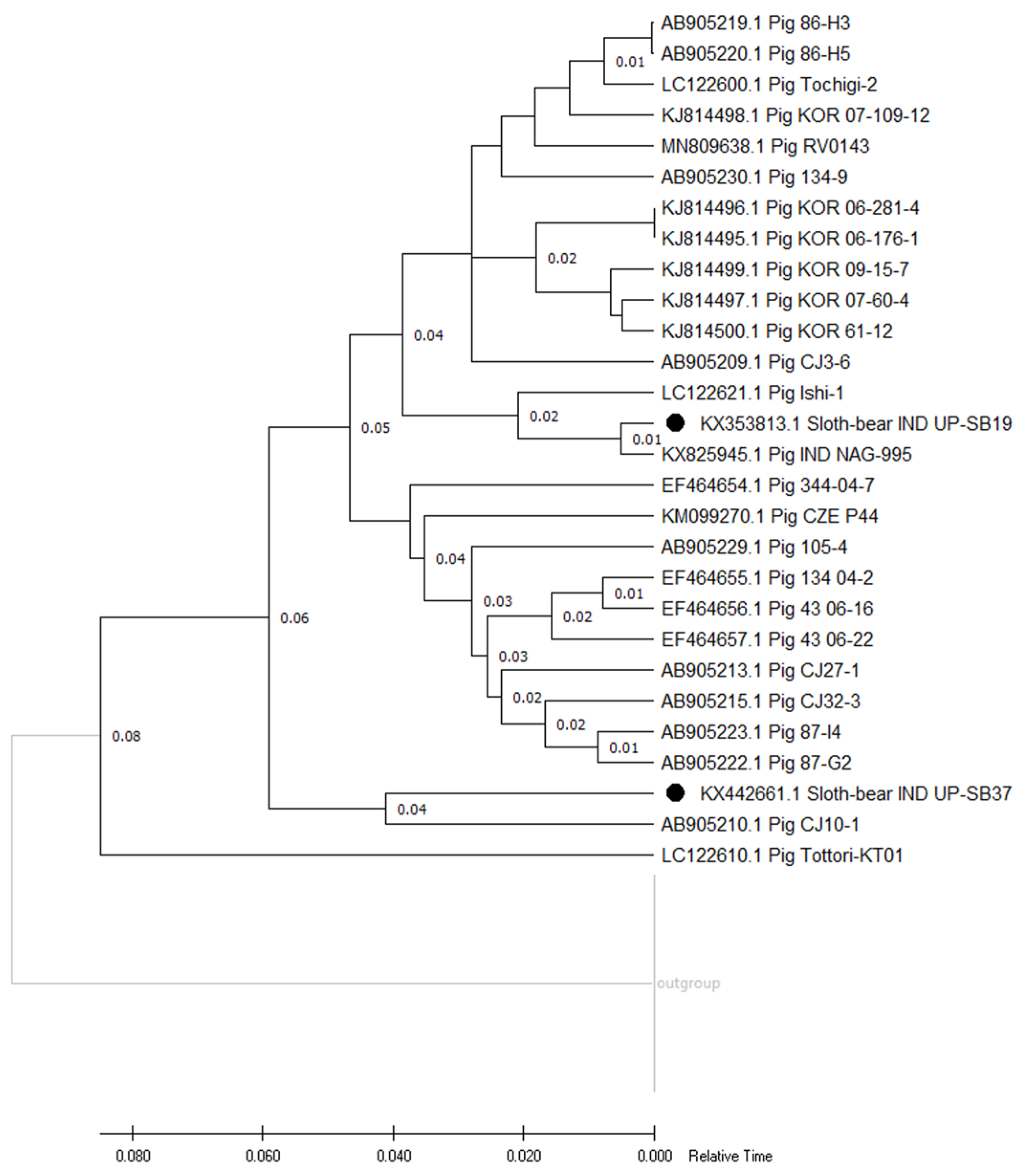 Pathogens 12 00934 g003 Pathogens 12 00934 g003