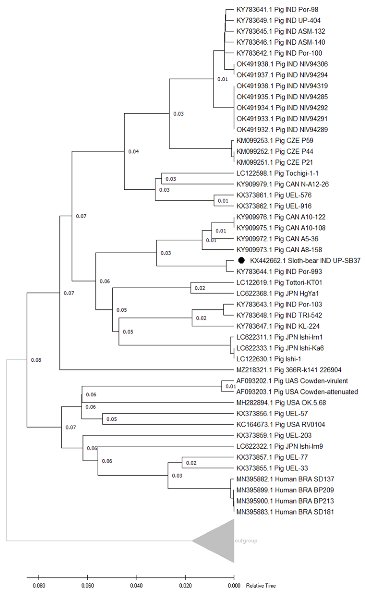 Pathogens 12 00934 g005 Pathogens 12 00934 g005