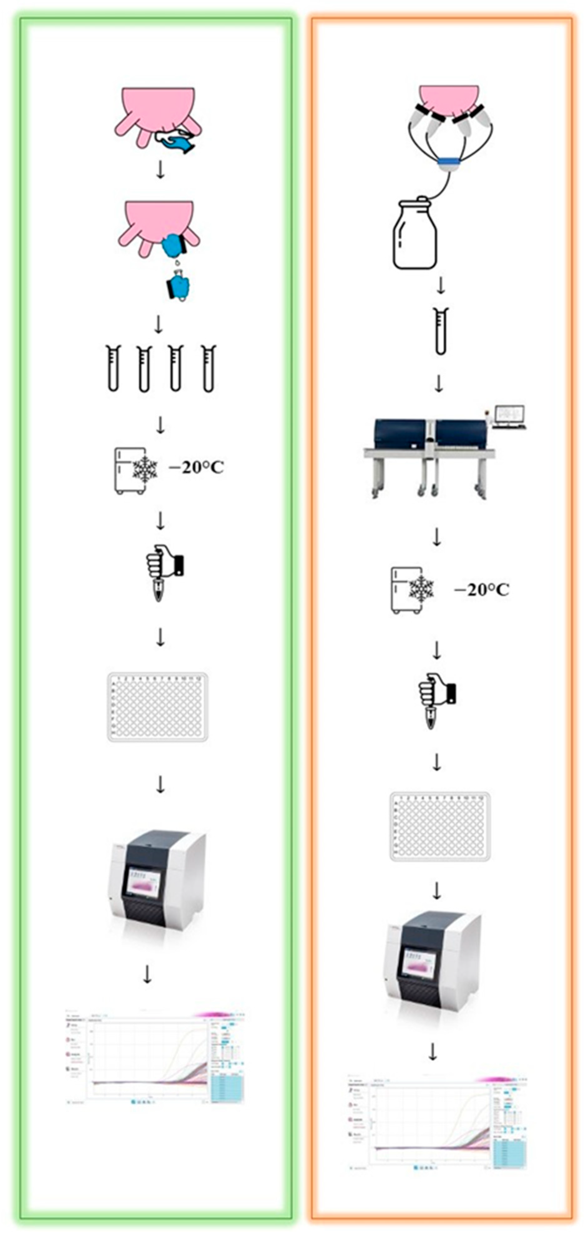 Pathogens 12 00935 g001
