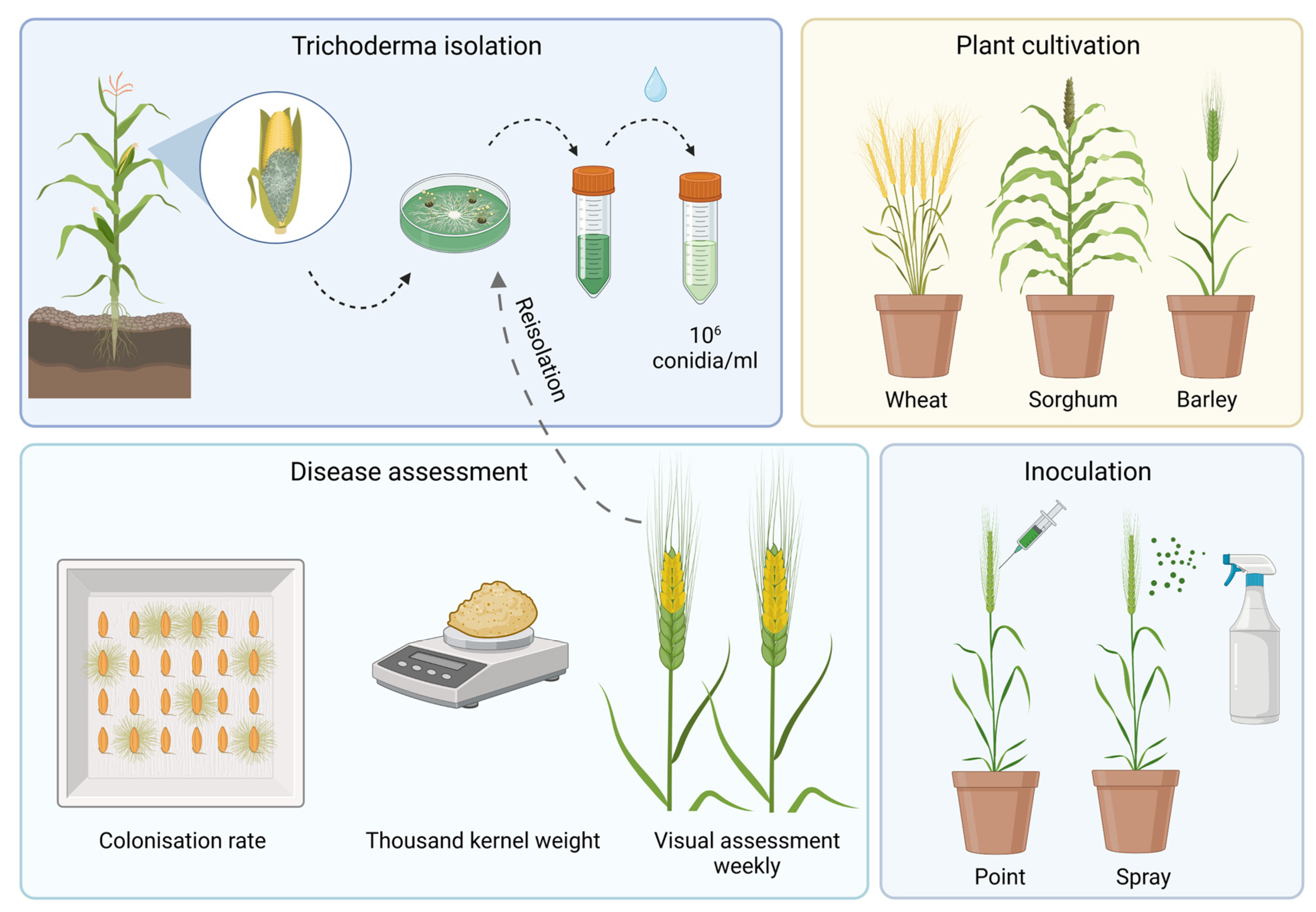 Pathogens 12 00936 g001 Pathogens 12 00936 g001