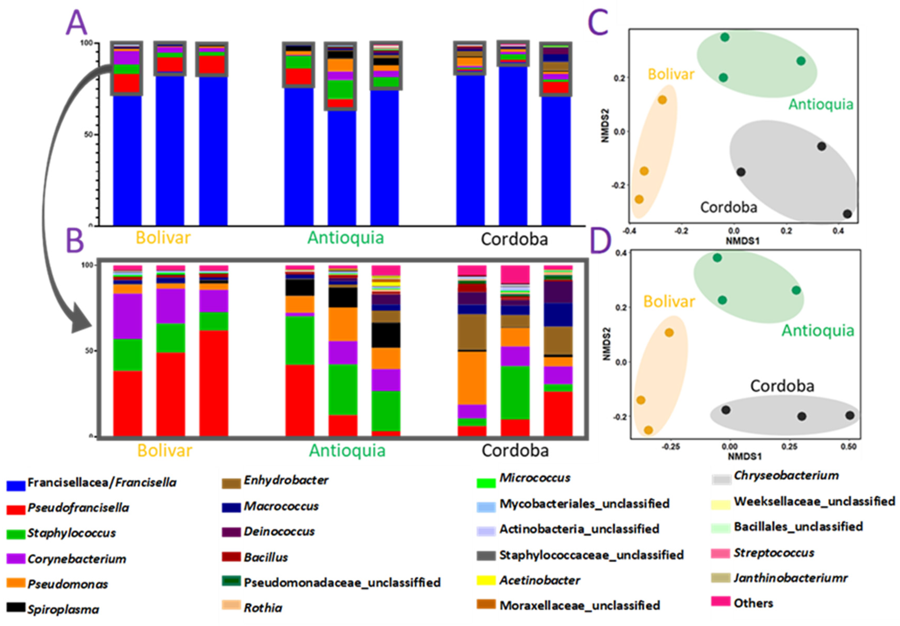 Pathogens 12 00942 g001 Pathogens 12 00942 g001