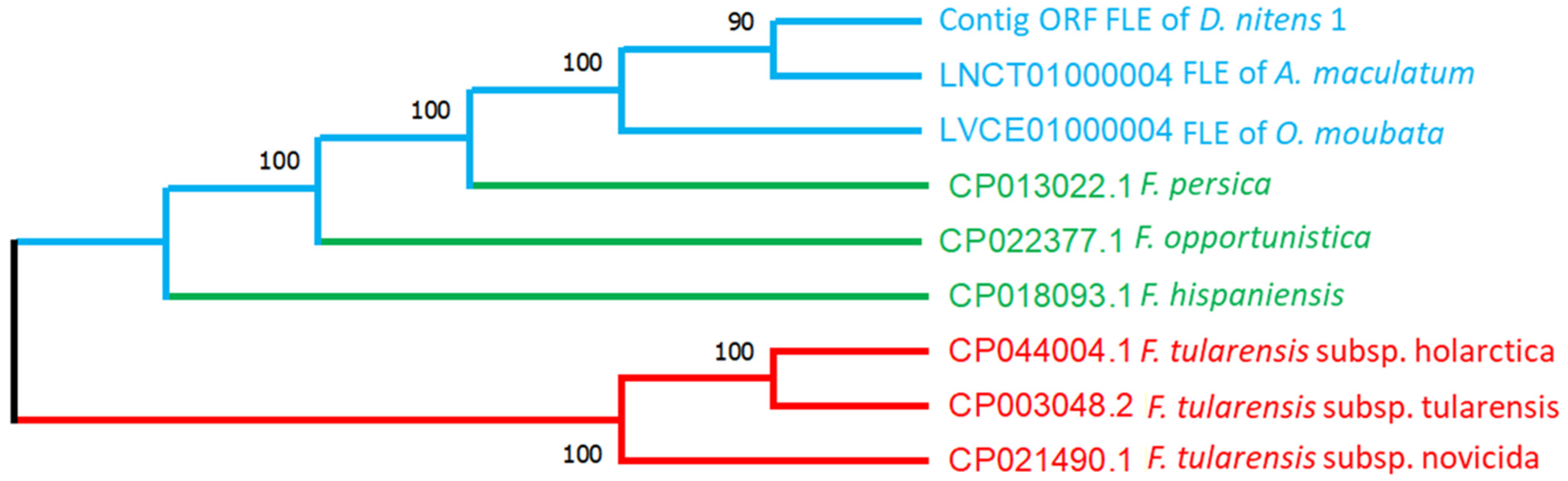 Pathogens 12 00942 g003 Pathogens 12 00942 g003