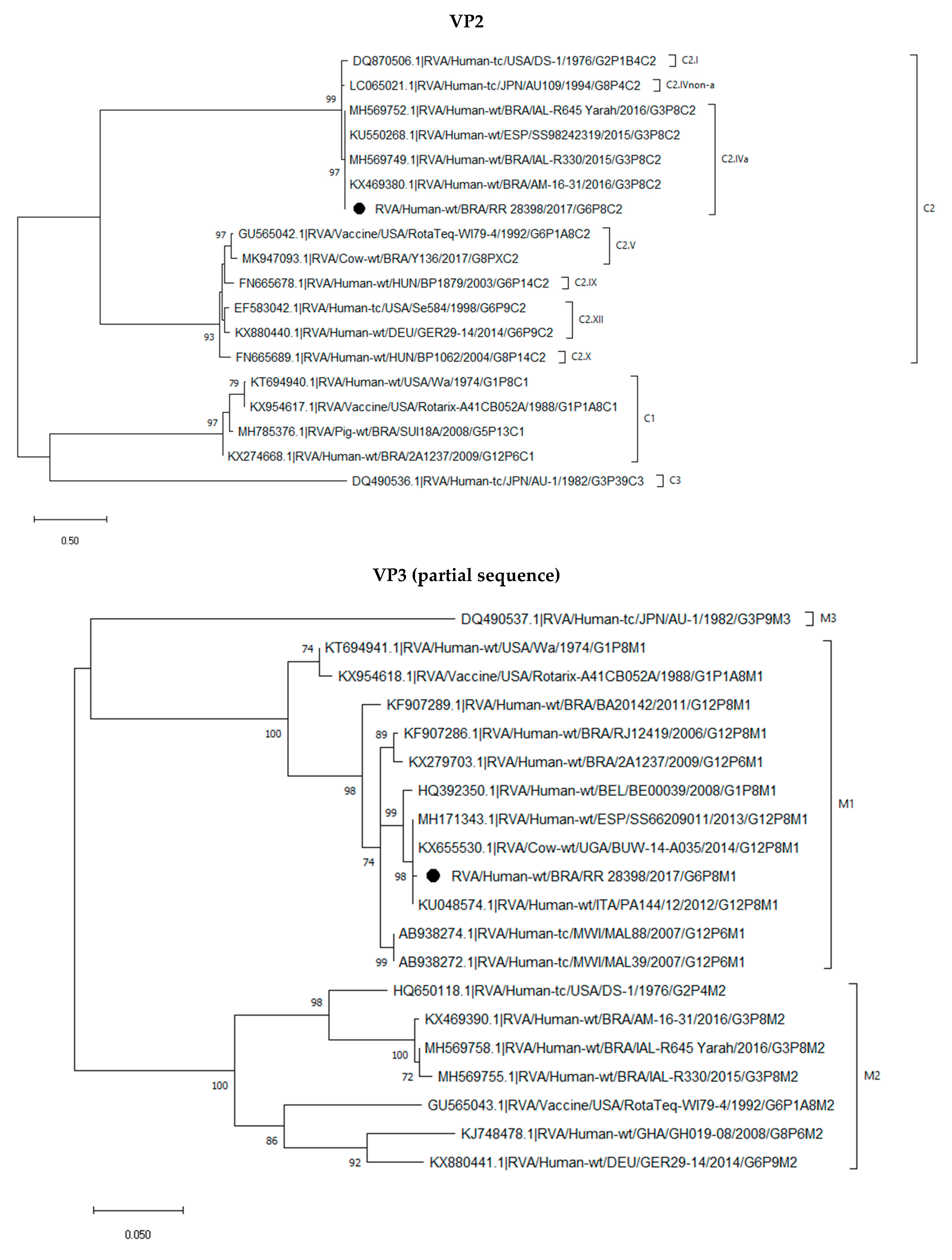 Pathogens 12 00956 g001c Pathogens 12 00956 g001c