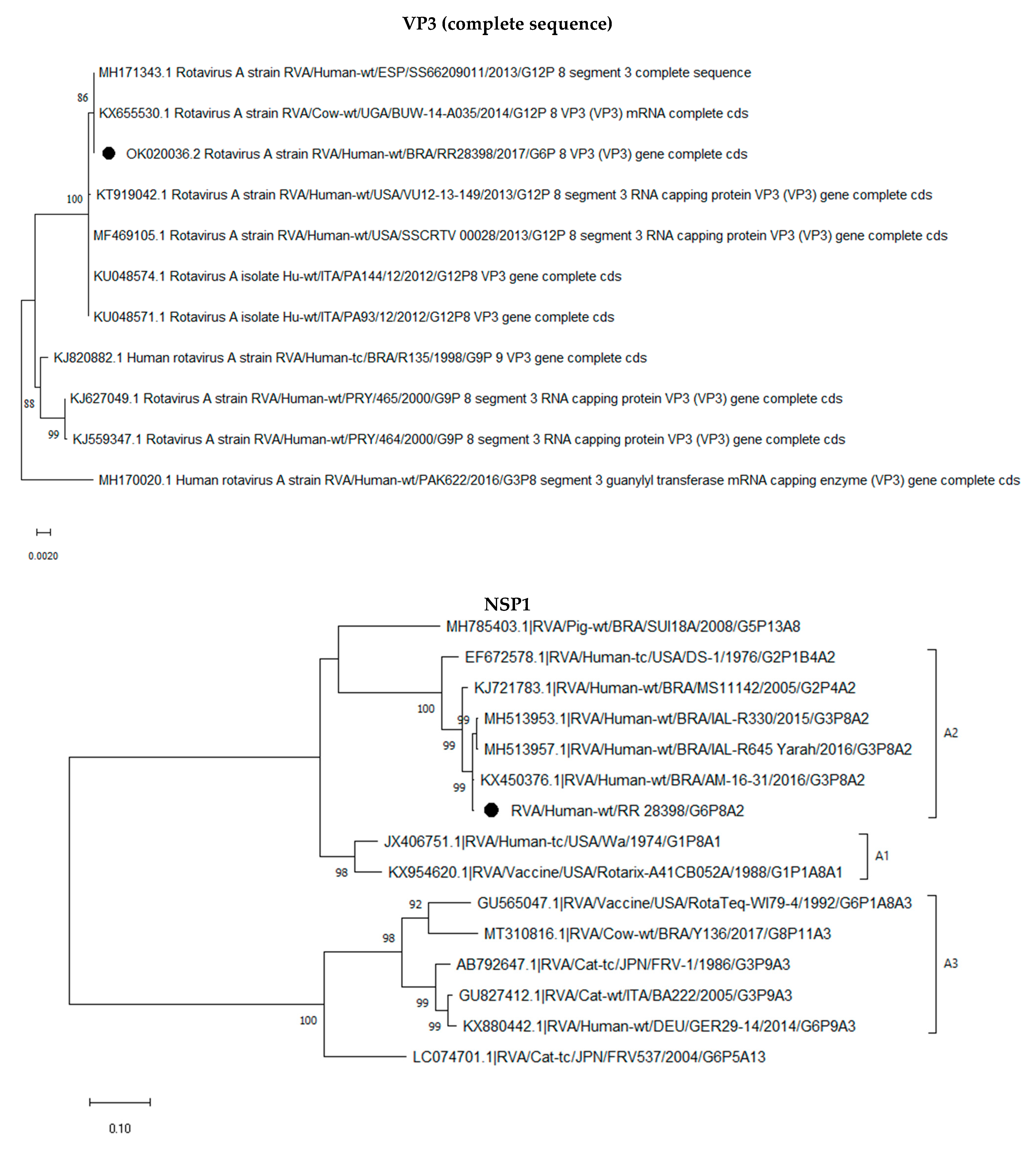 Pathogens 12 00956 g001d Pathogens 12 00956 g001d