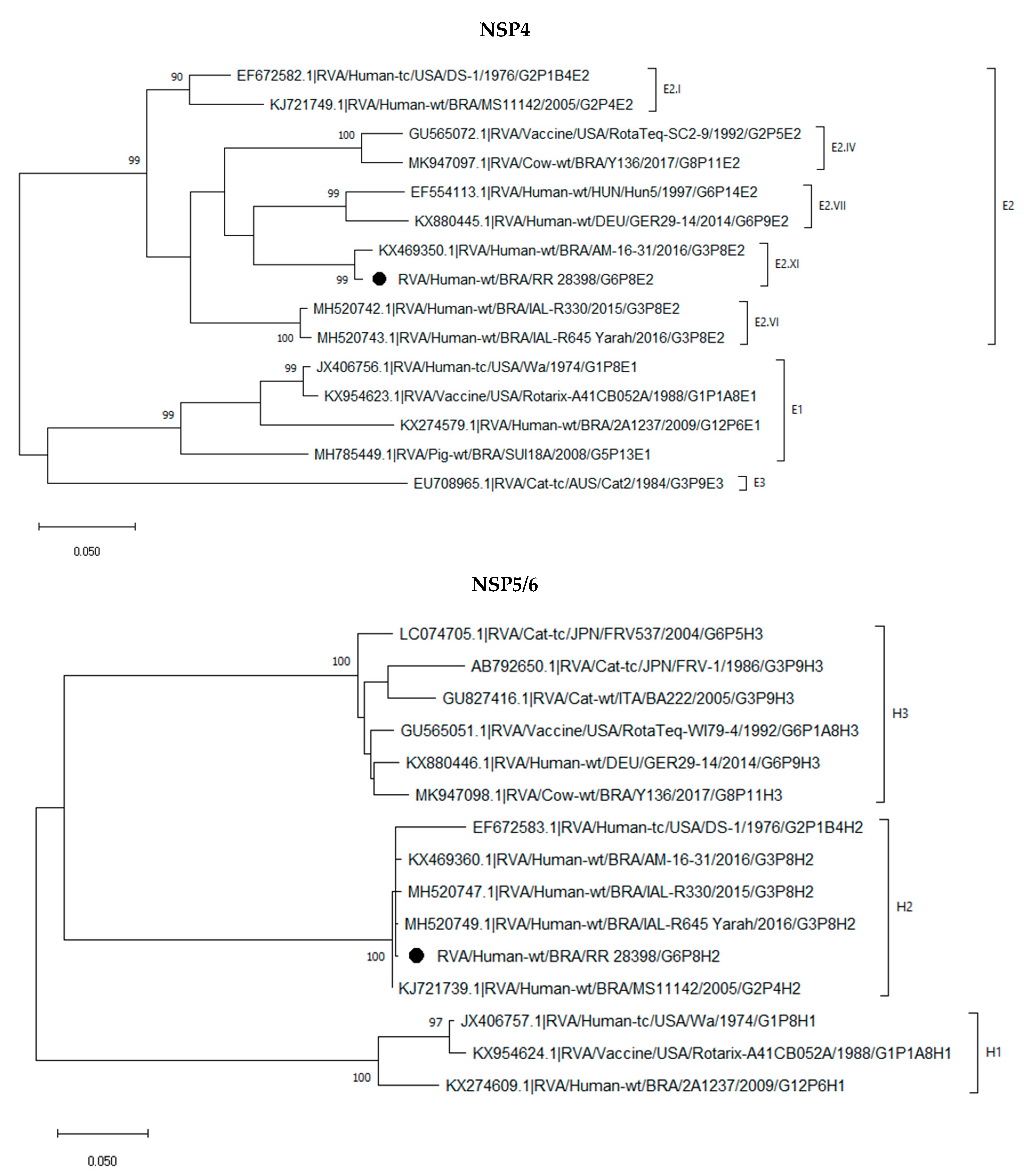 Pathogens 12 00956 g001f Pathogens 12 00956 g001f