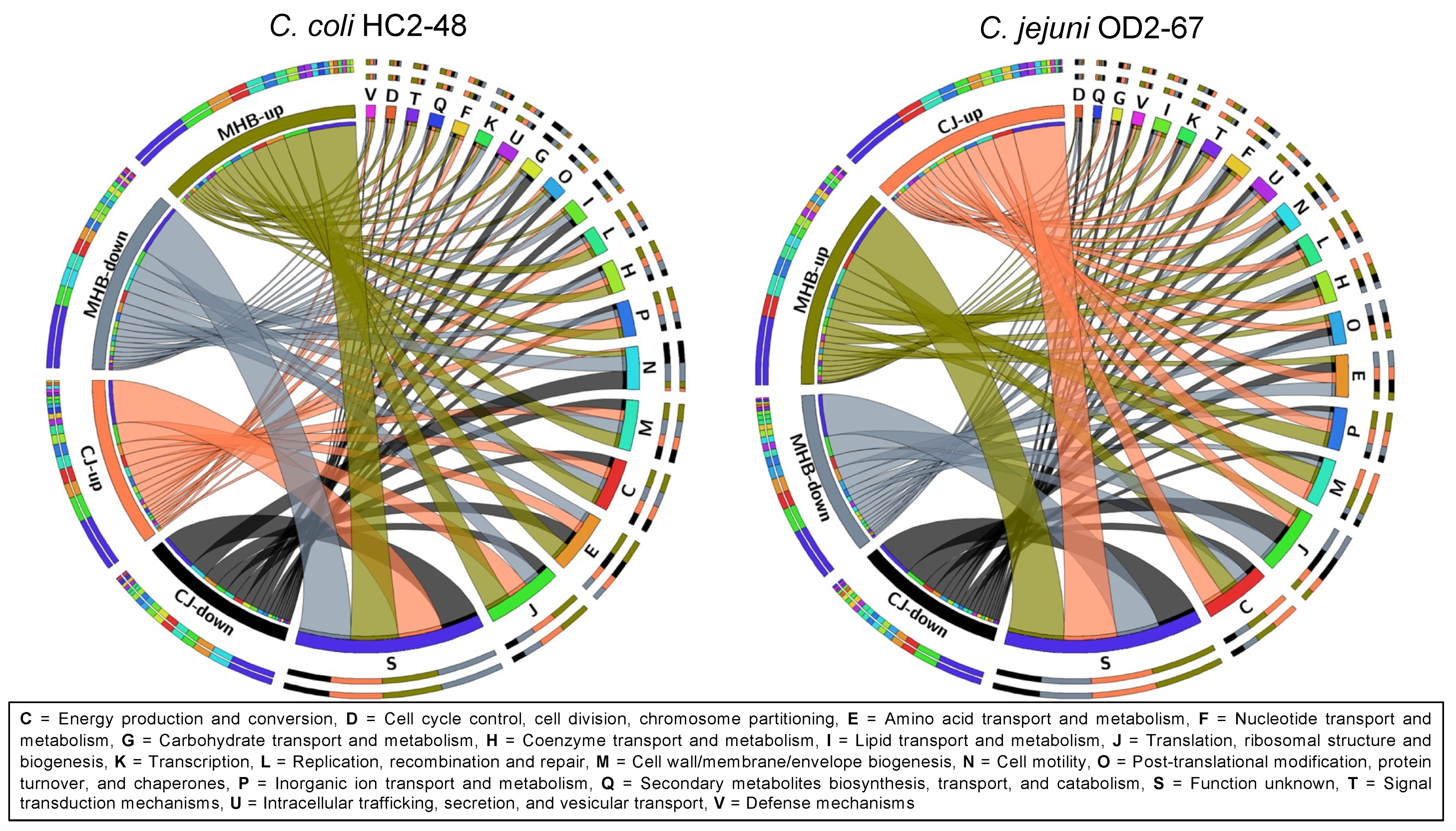 Pathogens 12 00960 g003 Pathogens 12 00960 g003