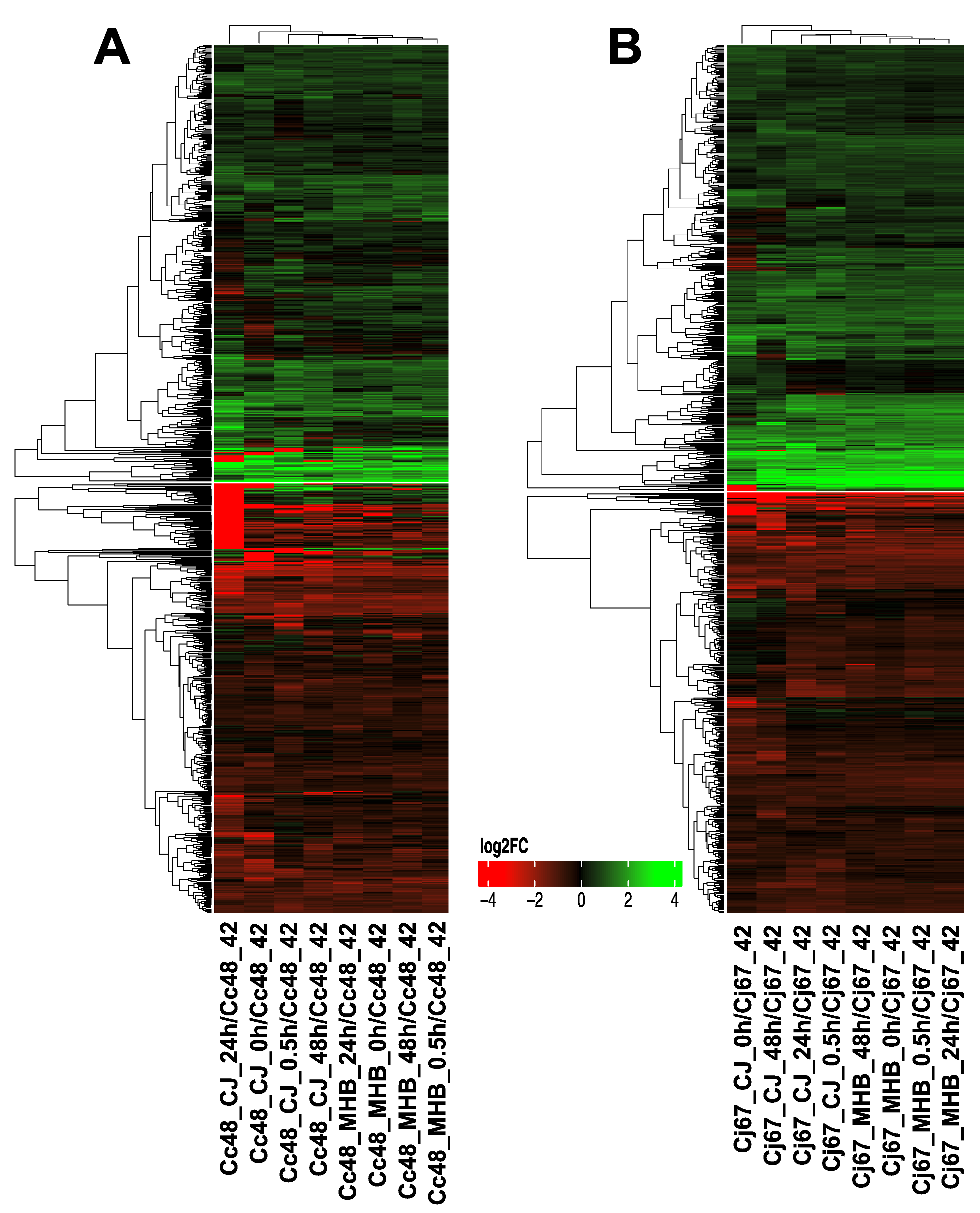 Pathogens 12 00960 g007 Pathogens 12 00960 g007