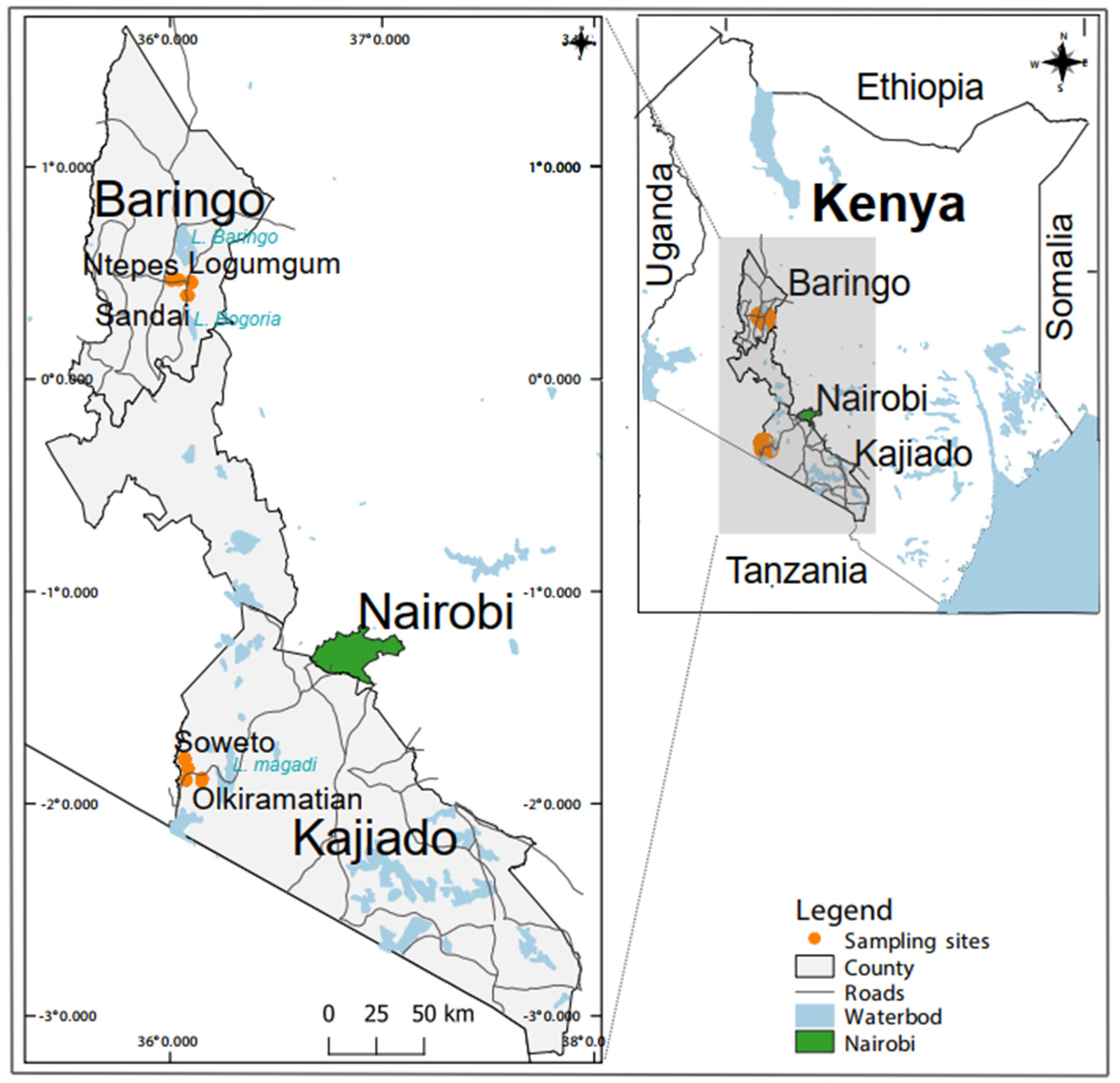 Pathogens 12 00967 g001 Pathogens 12 00967 g001