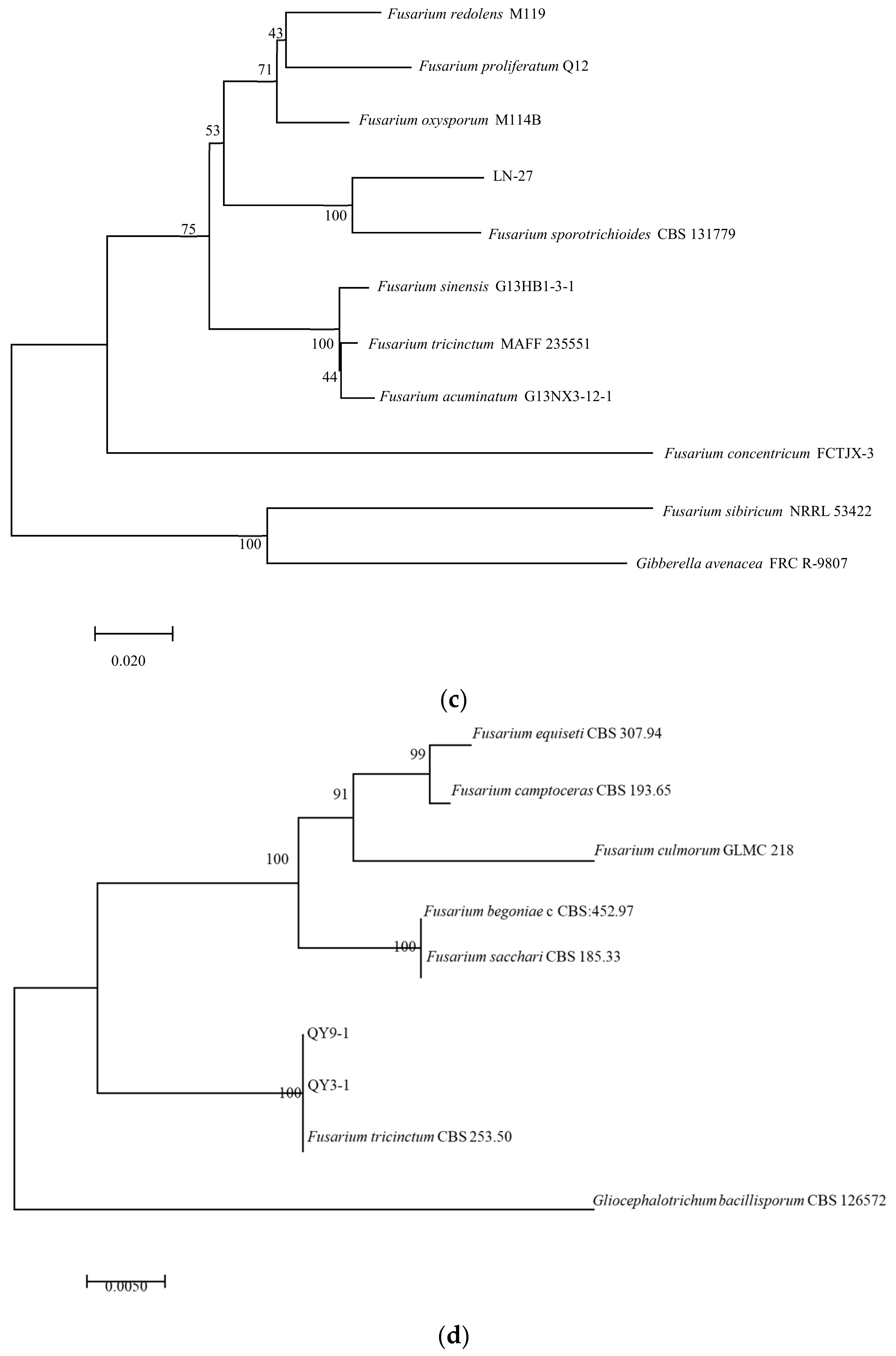 Pathogens 12 00970 g005b