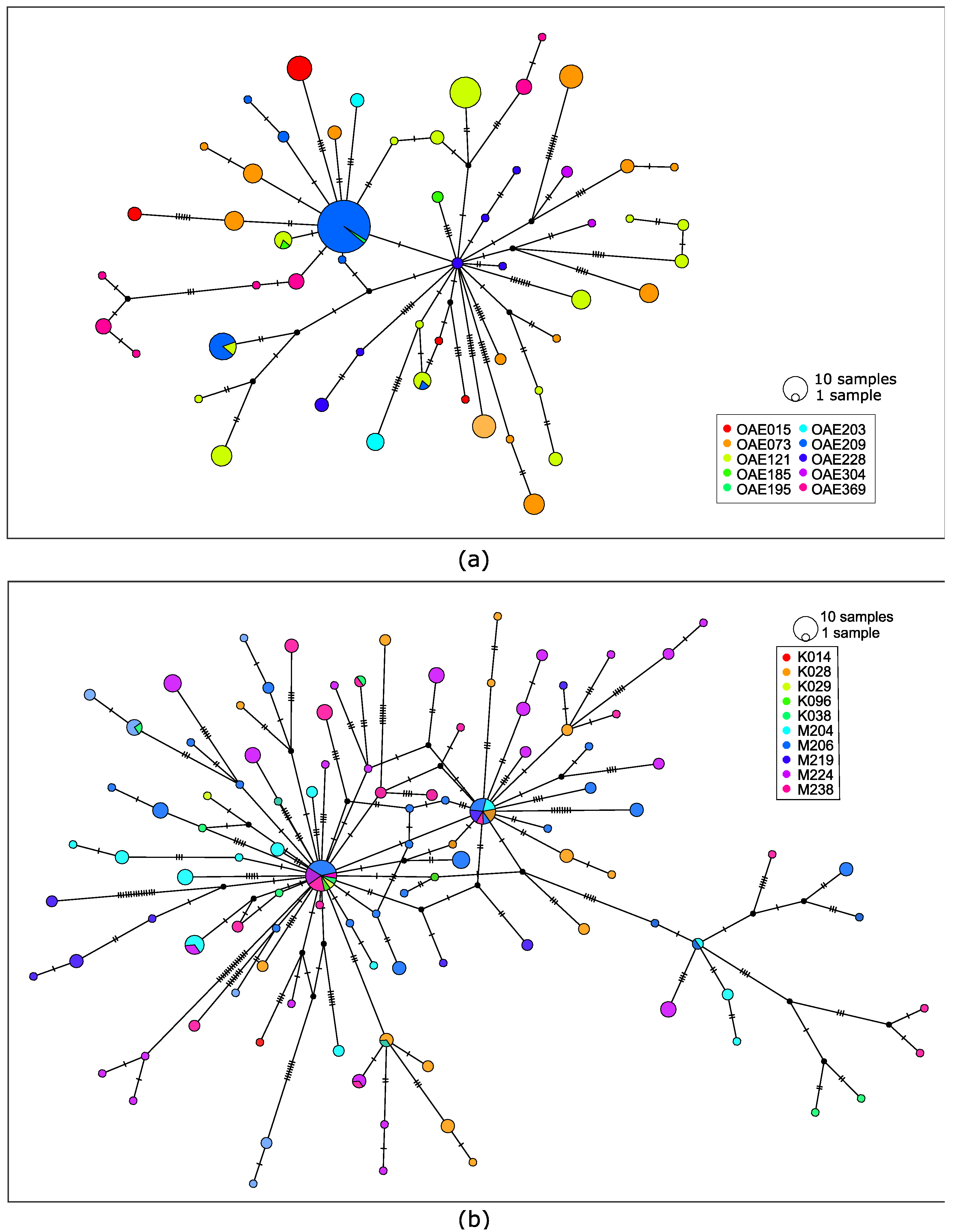 Pathogens 12 00971 g002