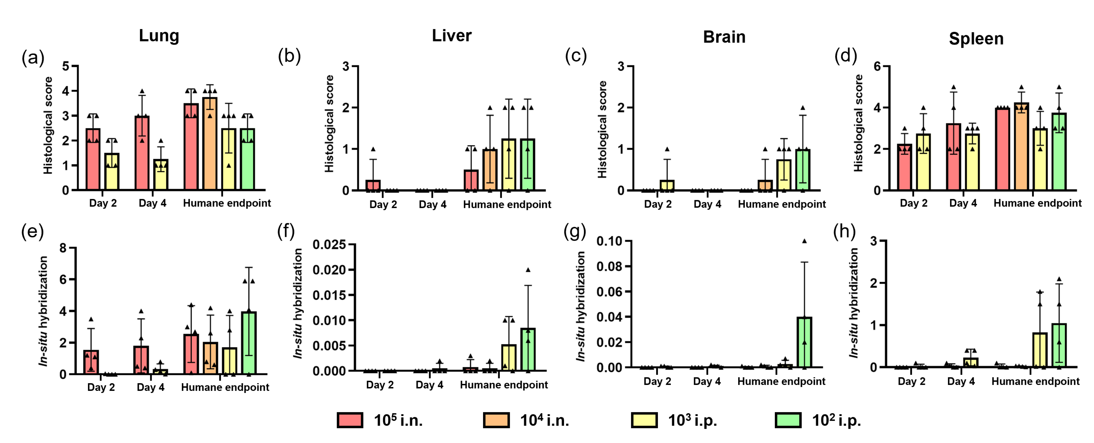 Pathogens 12 00976 g006
