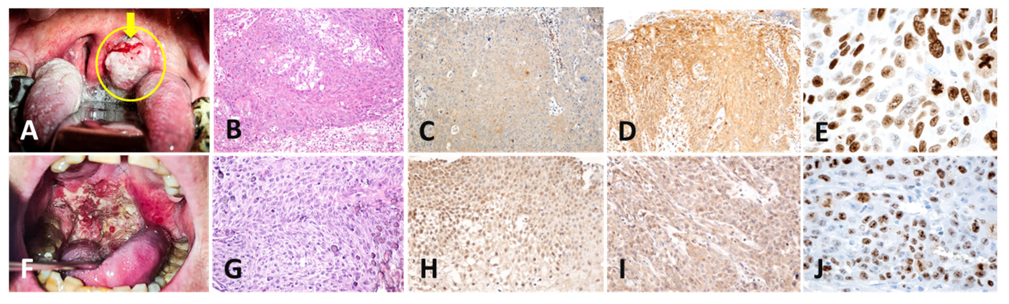 Pathogens 12 00984 g005