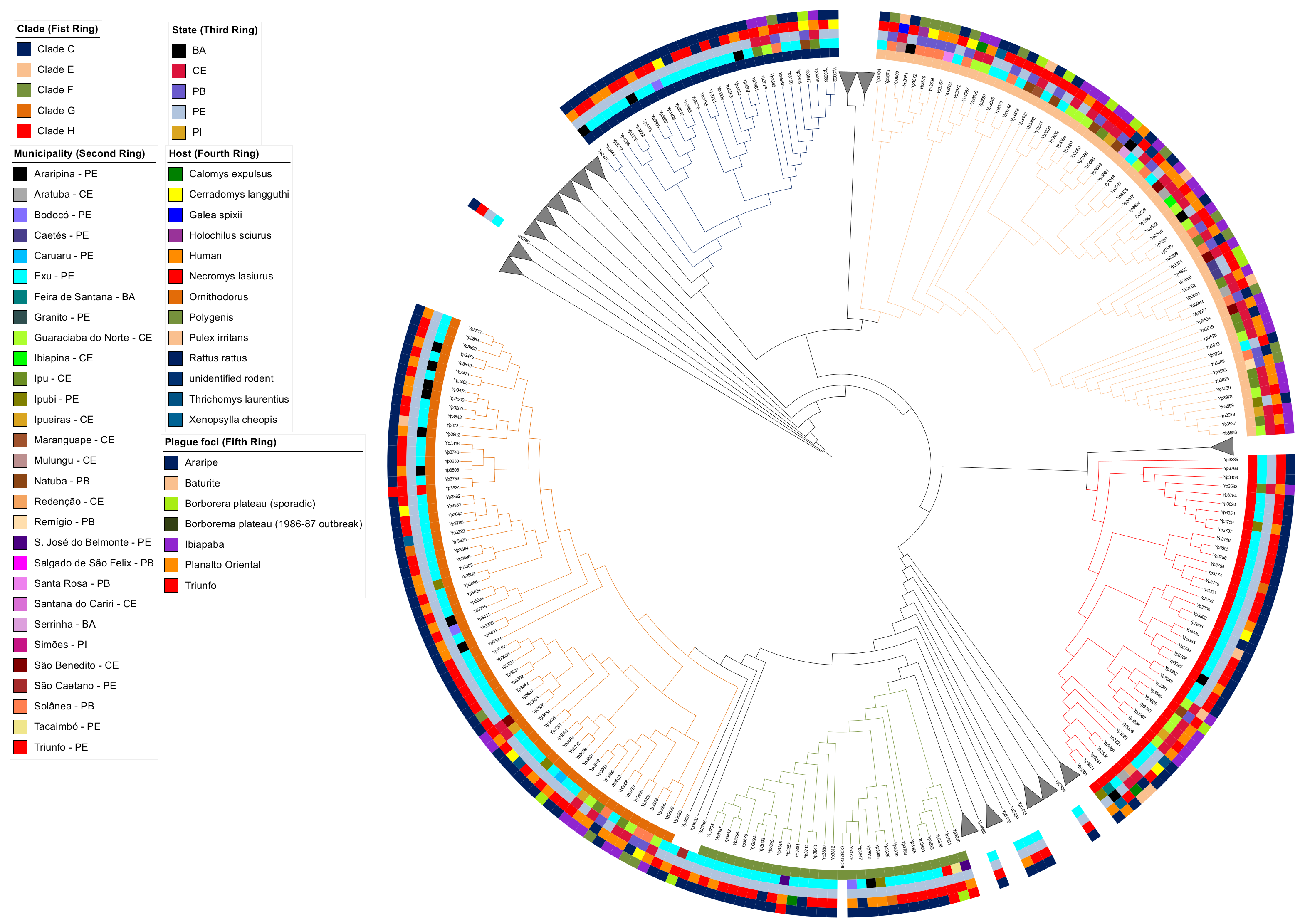 Pathogens 12 00991 g003