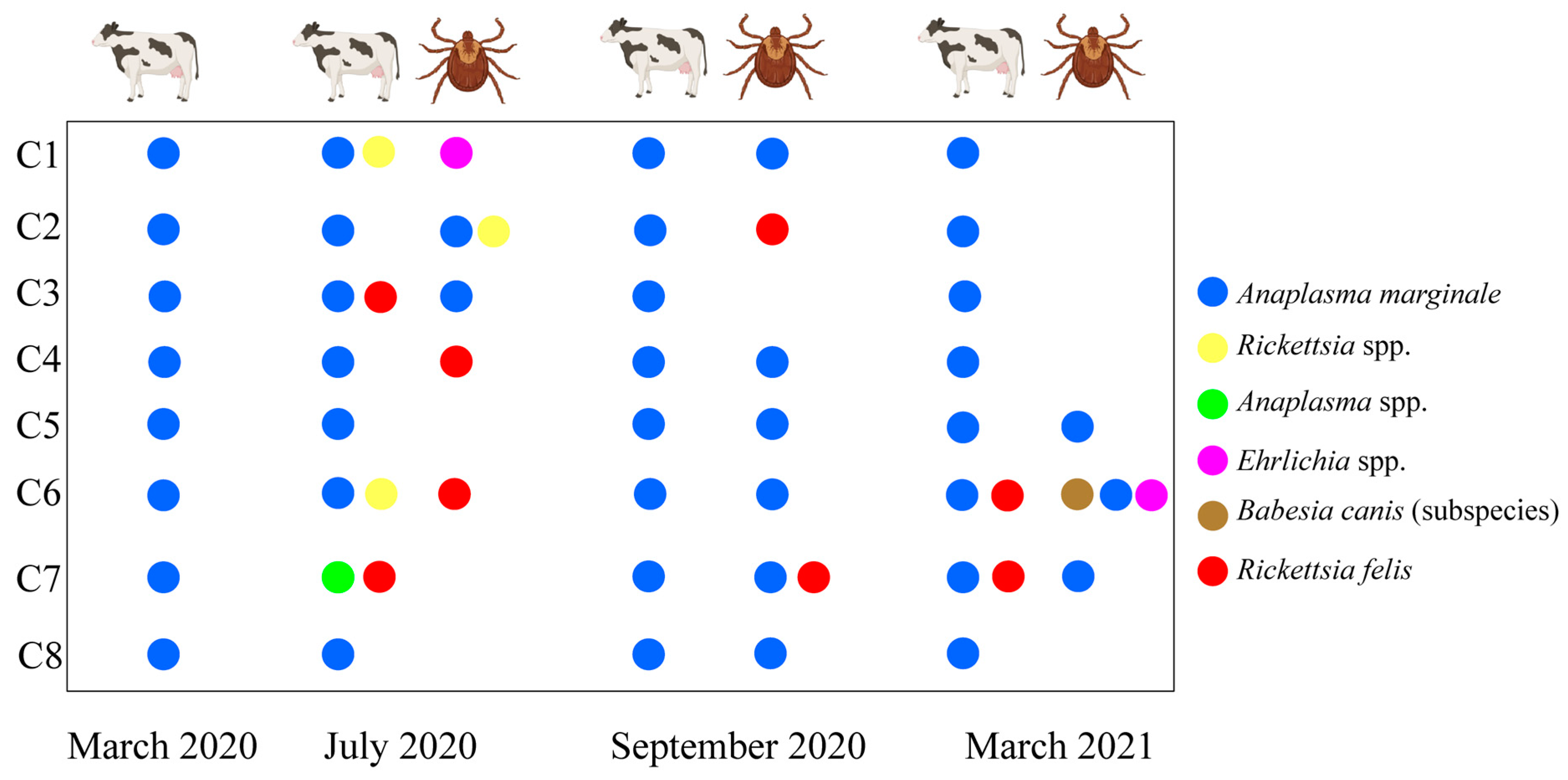 Pathogens 12 00998 g001 Pathogens 12 00998 g001