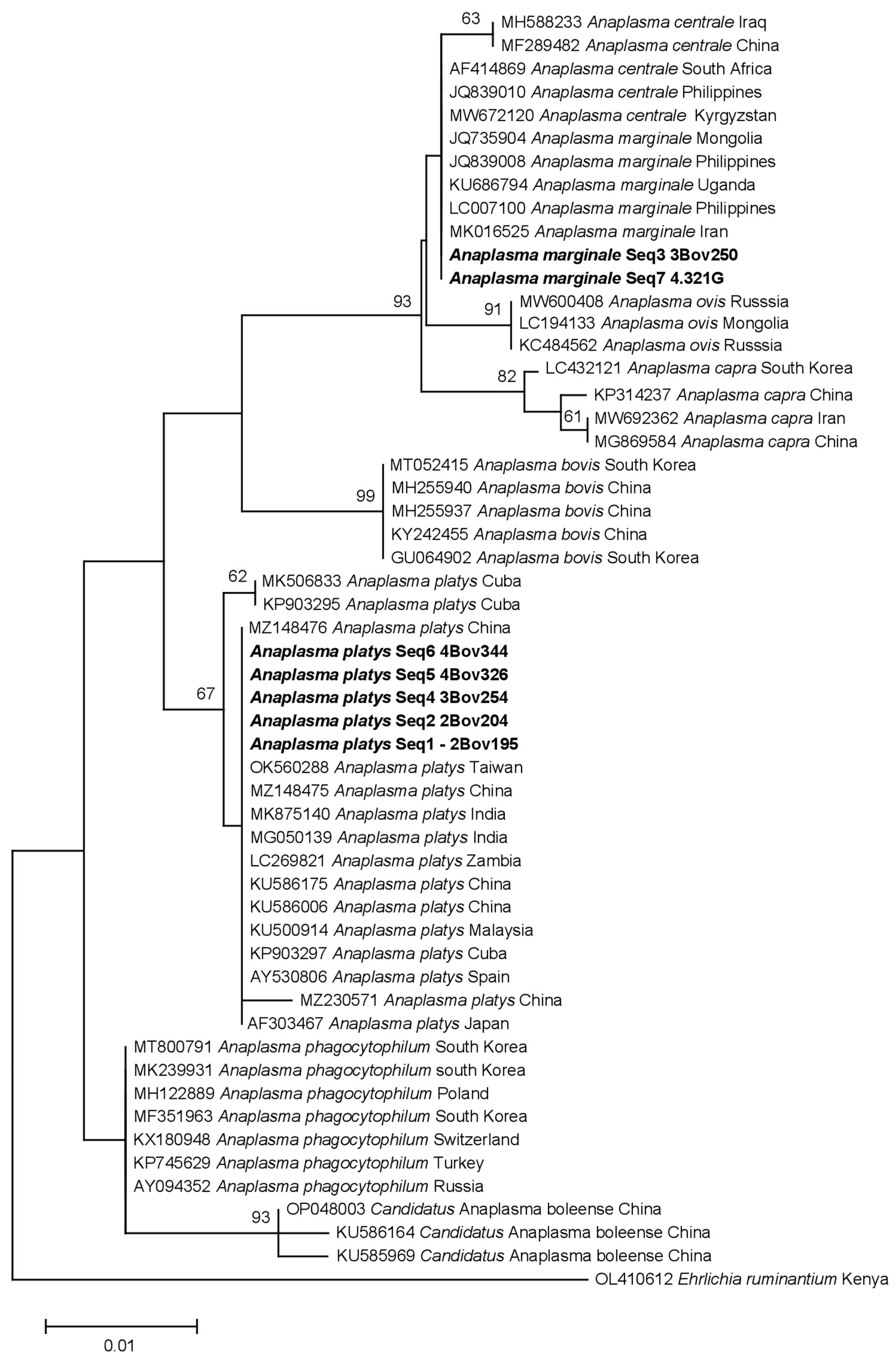 Pathogens 12 00998 g002 Pathogens 12 00998 g002