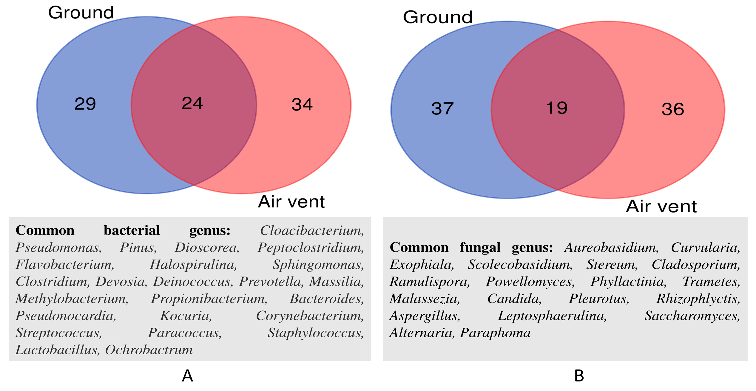 Pathogens 12 01006 g006