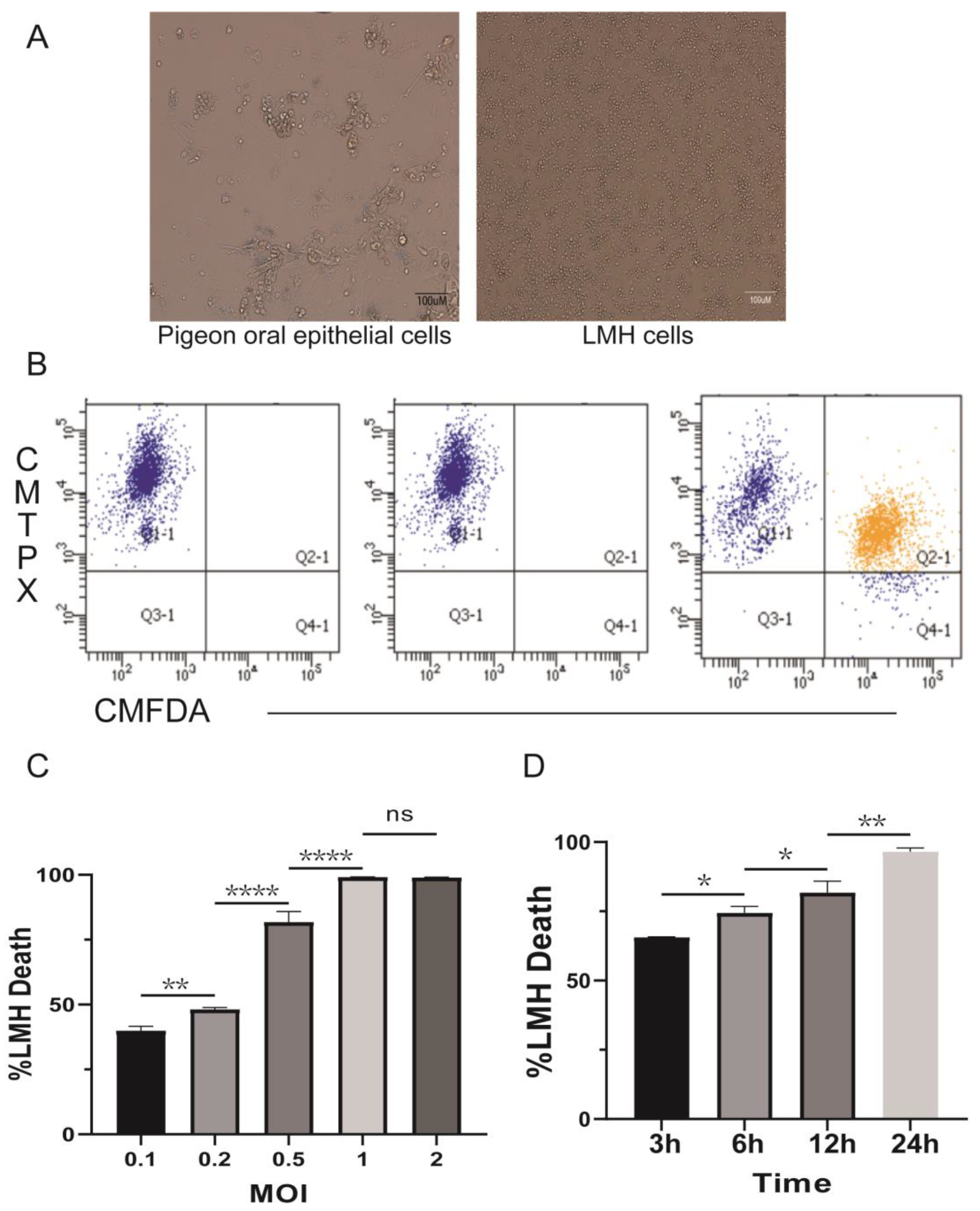 Pathogens 12 01008 g001 Pathogens 12 01008 g001