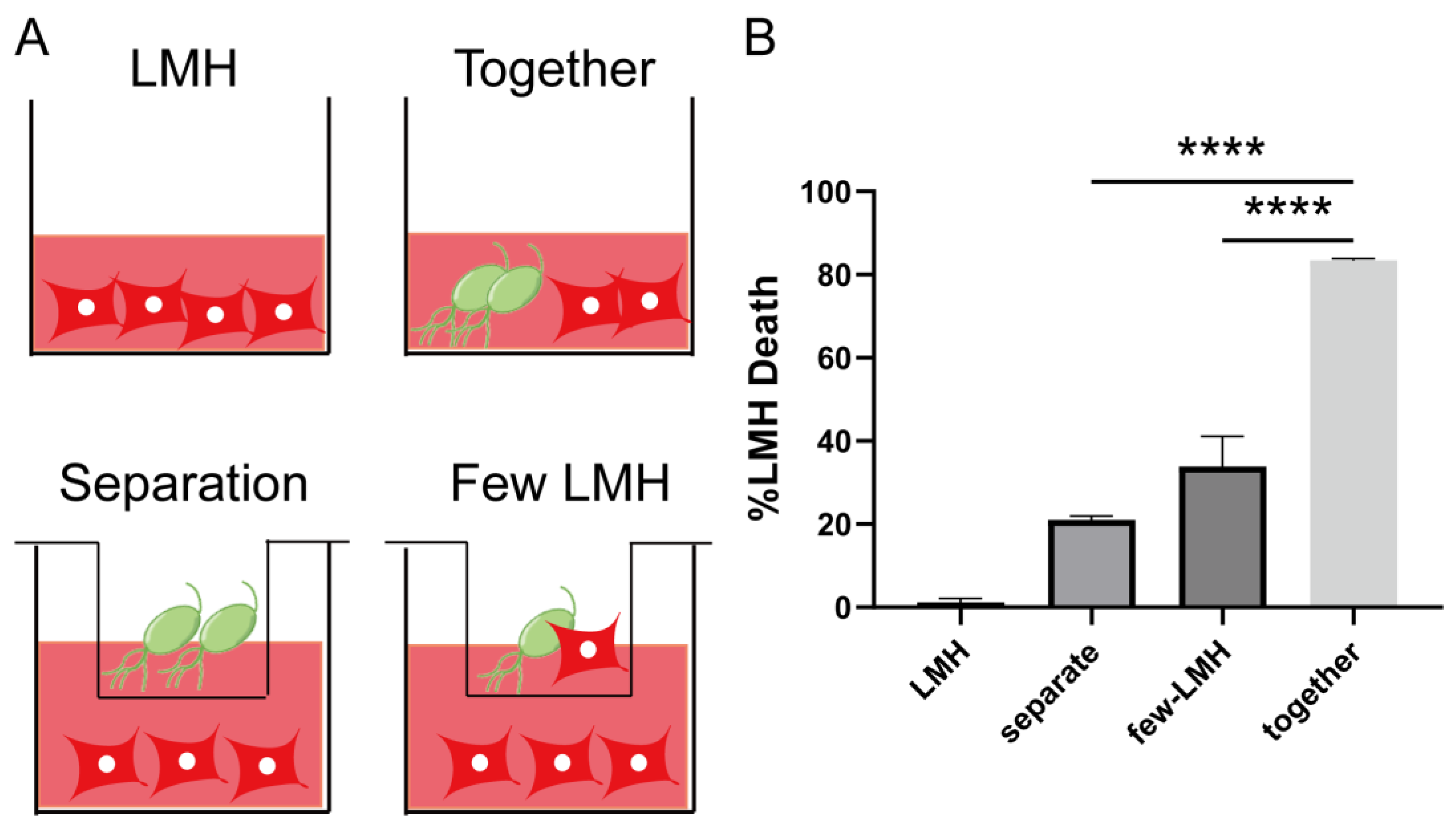 Pathogens 12 01008 g002 Pathogens 12 01008 g002