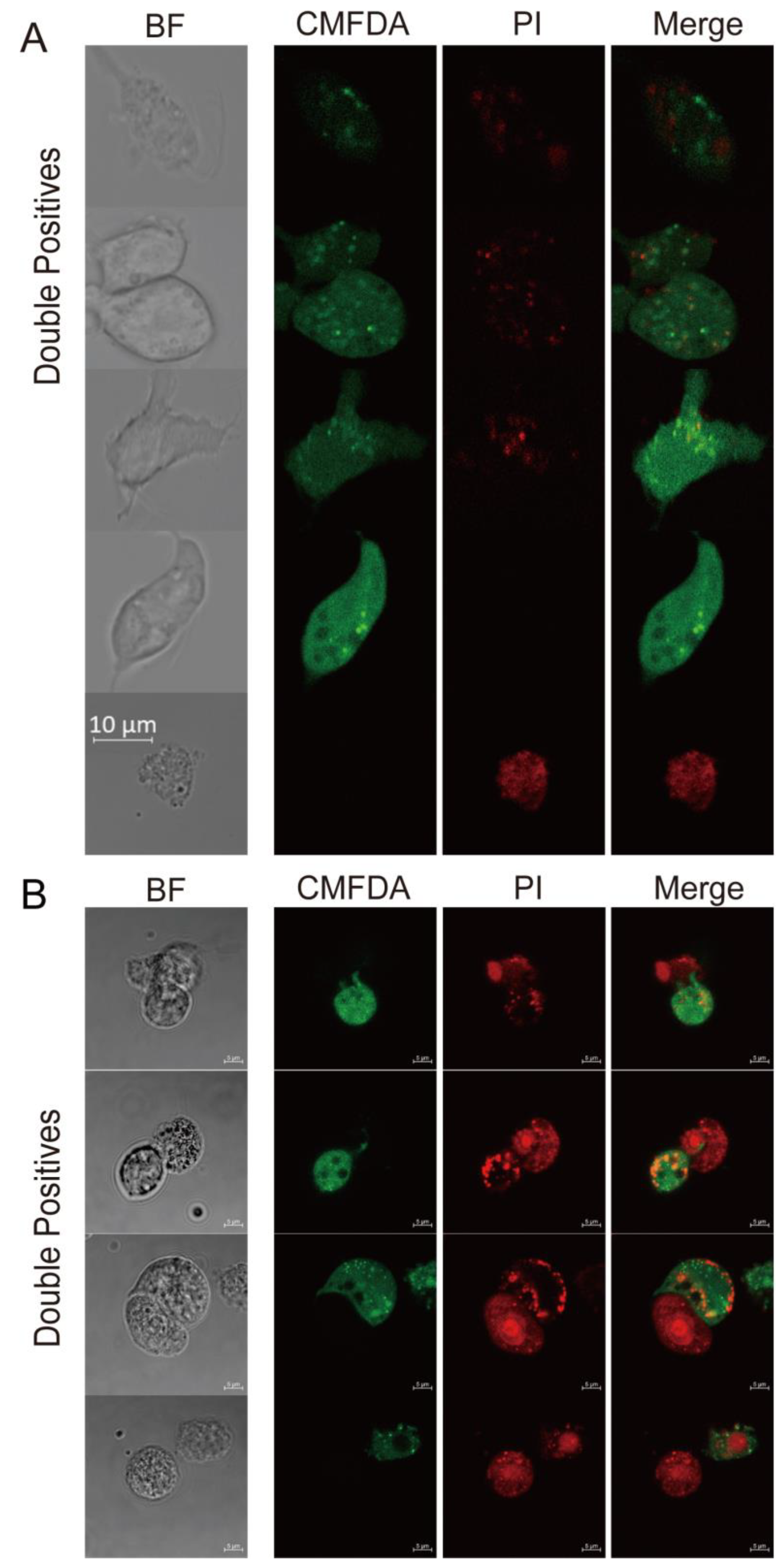 Pathogens 12 01008 g003 Pathogens 12 01008 g003